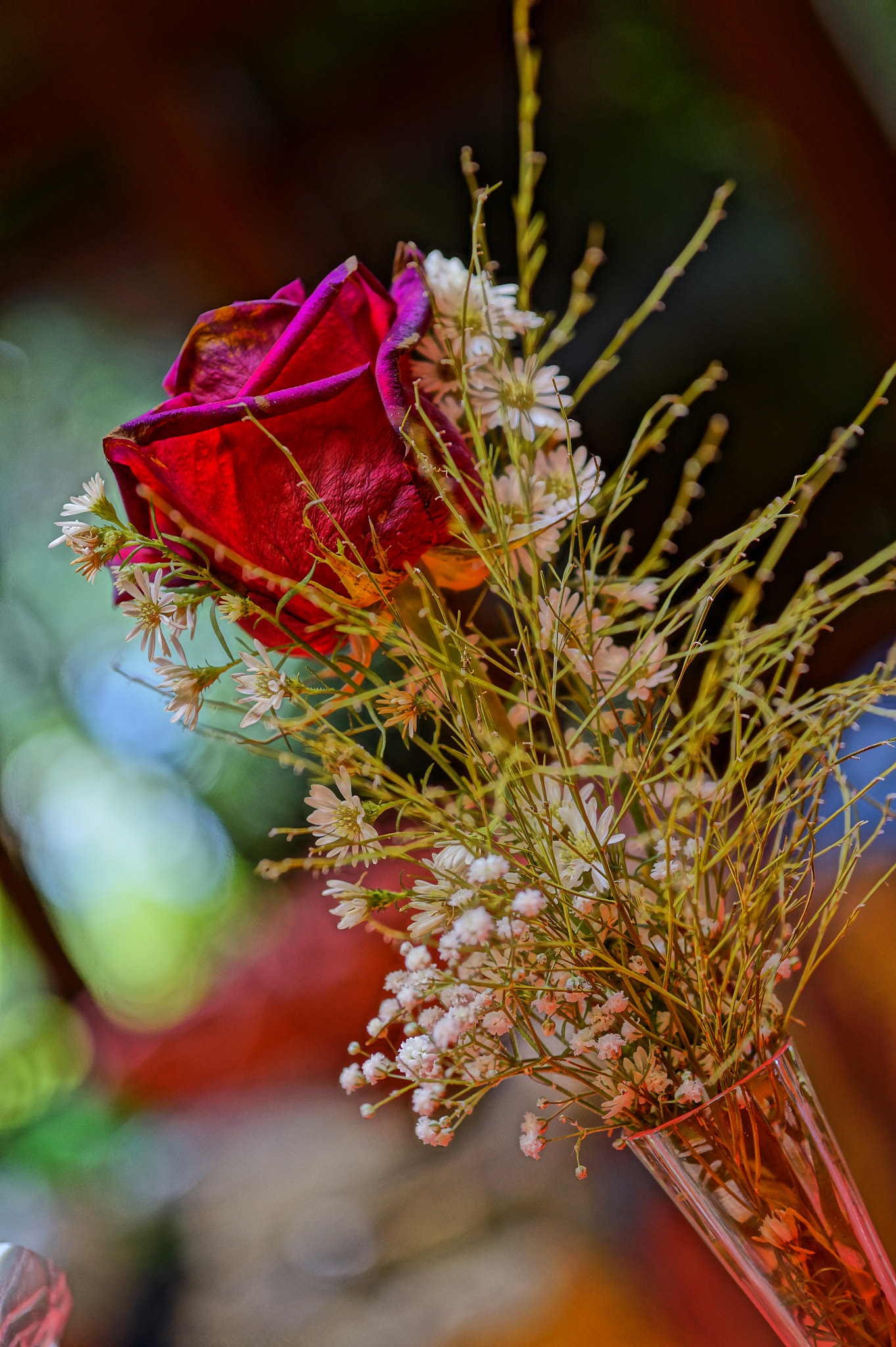 Sigma 60mm F2.8 DN Art sample photo. Arrangement photography