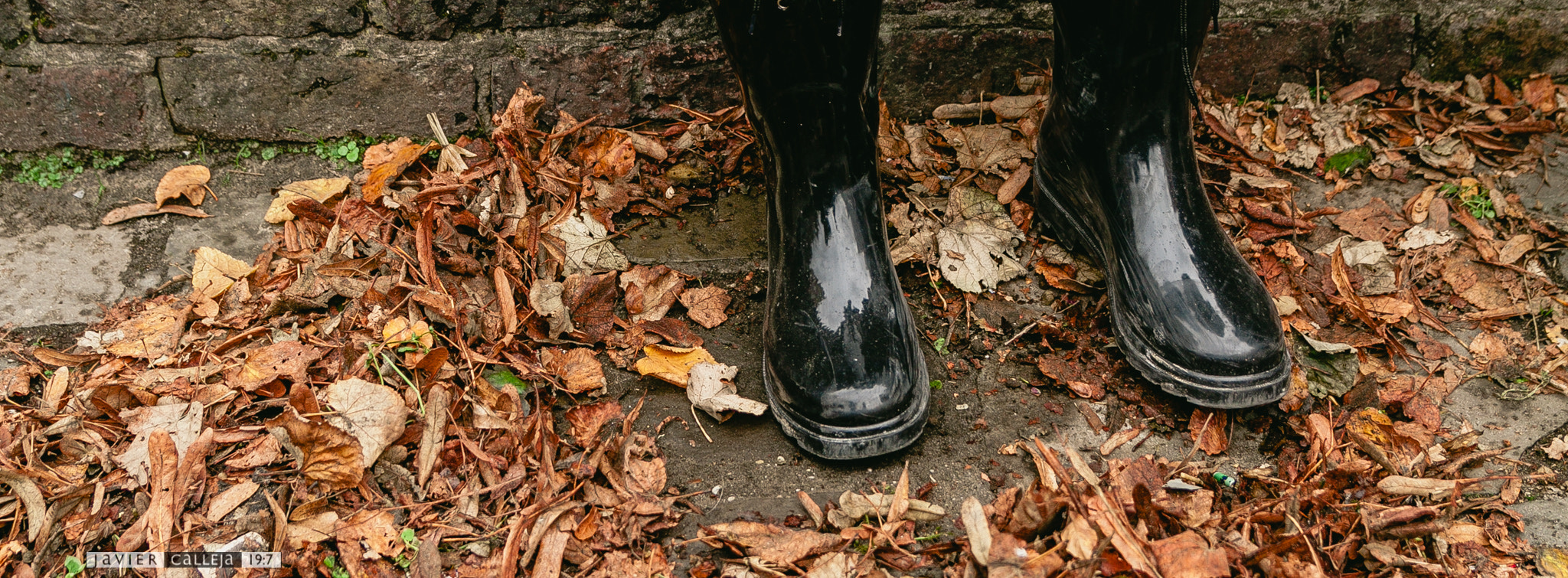 Canon EOS 50D + Sigma 18-50mm f/2.8 Macro sample photo. Botas y hojas photography