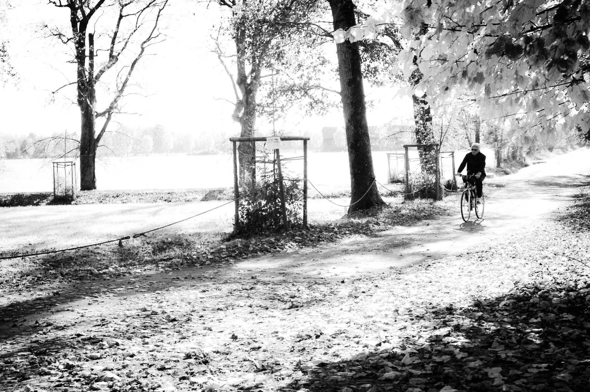 Nikon D50 + Nikon AF-S DX Nikkor 35mm F1.8G sample photo. Snow to mandria (venaria reale) photography