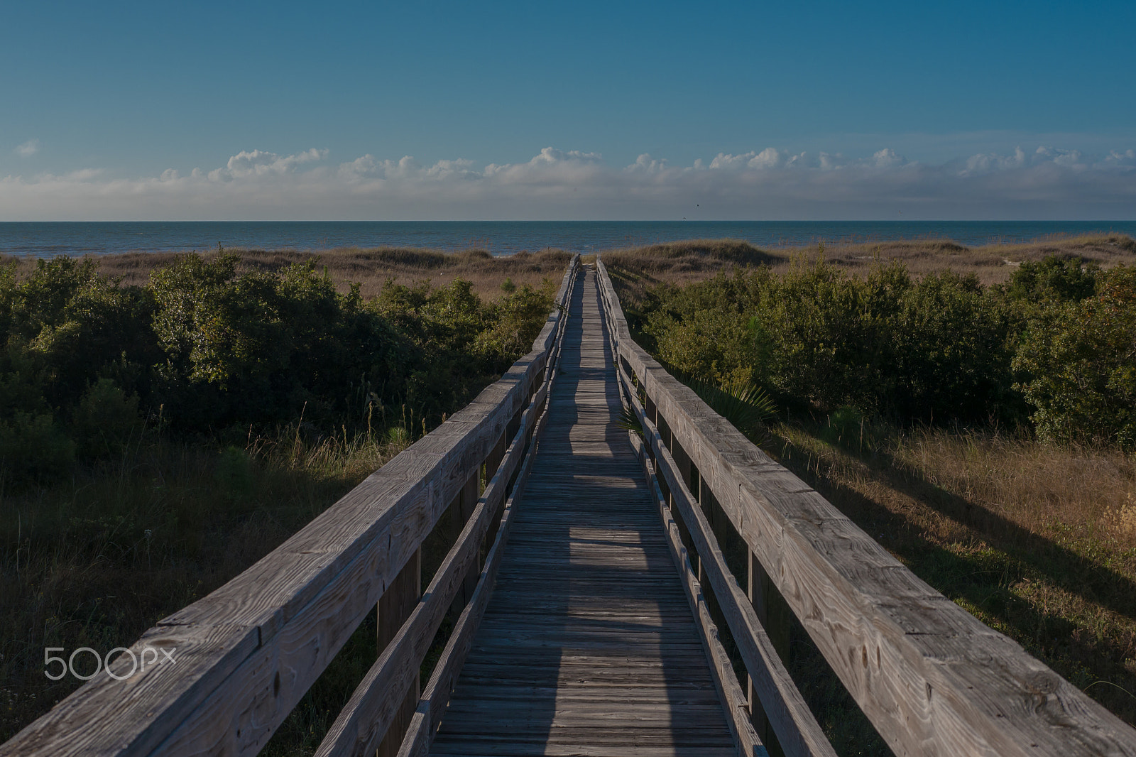 Panasonic Lumix DMC-G5 + Panasonic Leica DG Summilux 25mm F1.4 II ASPH sample photo. Cape san blas photography