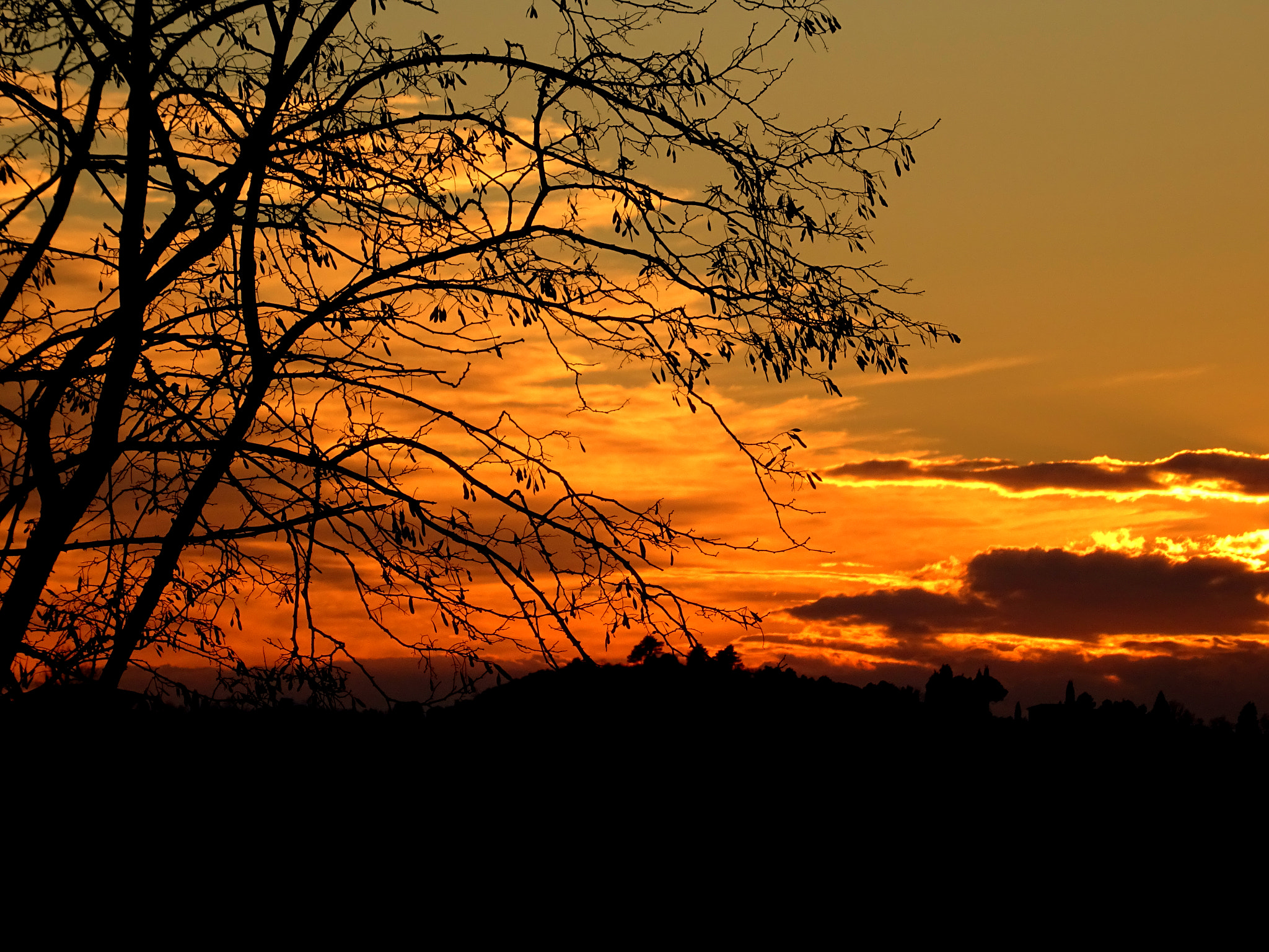 Sony DSC-HX60 sample photo. Sunset. photography