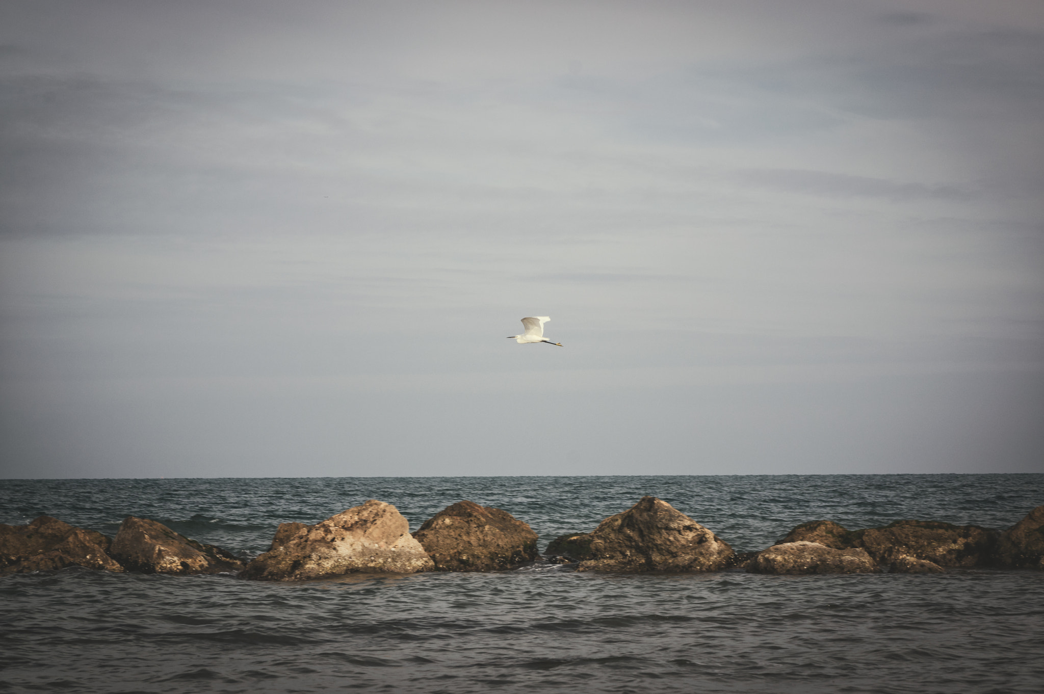 Tamron AF 28-75mm F2.8 XR Di LD Aspherical (IF) sample photo. Freedom photography