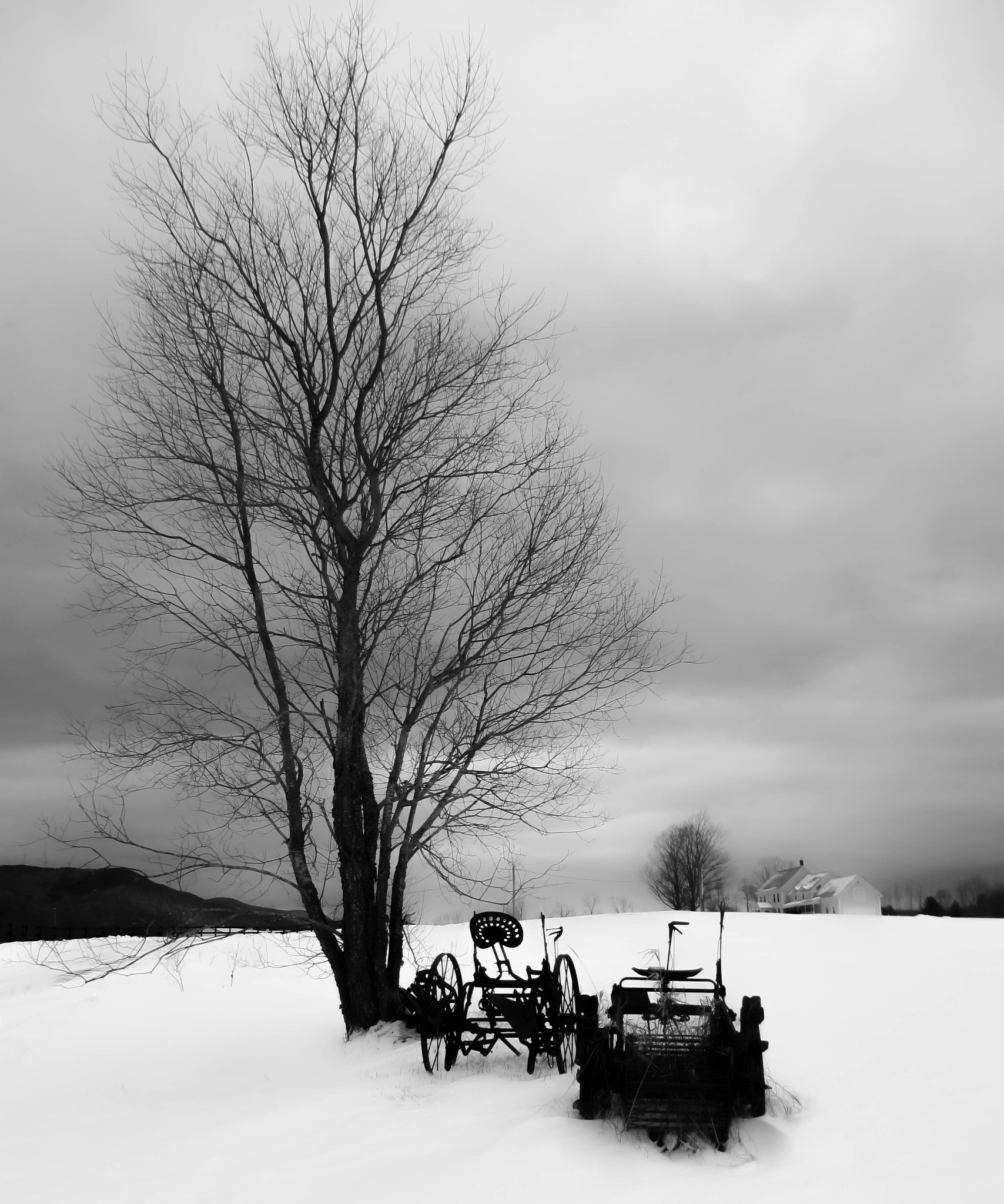 Canon PowerShot ELPH 310 HS (IXUS 230 HS / IXY 600F) sample photo. Tree cloudy day photography