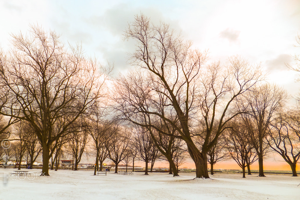 Fujifilm FinePix F550EXR sample photo. Ice sunset photography