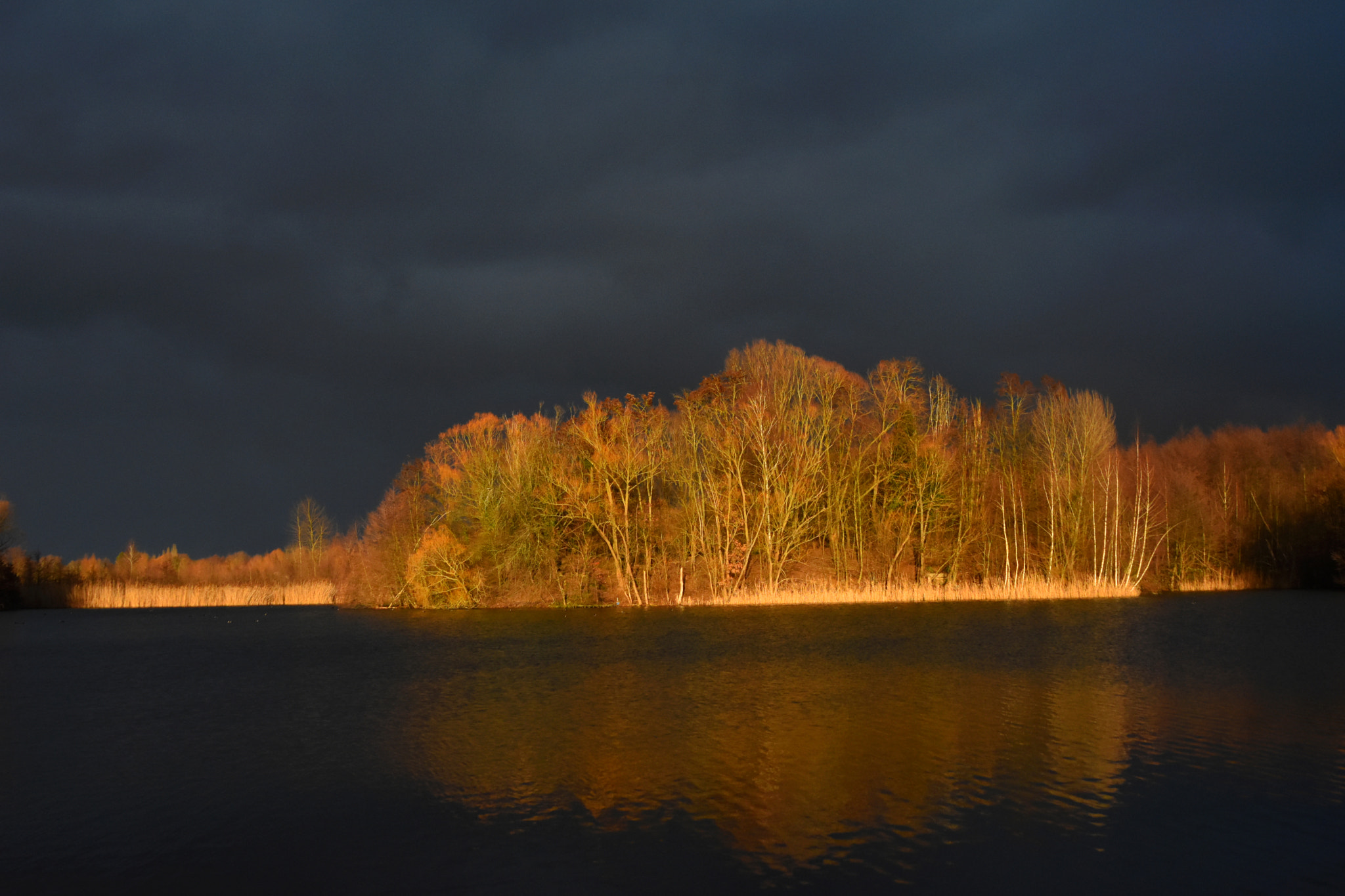 Sigma 28-105mm F2.8-4 Aspherical sample photo. In the last light photography