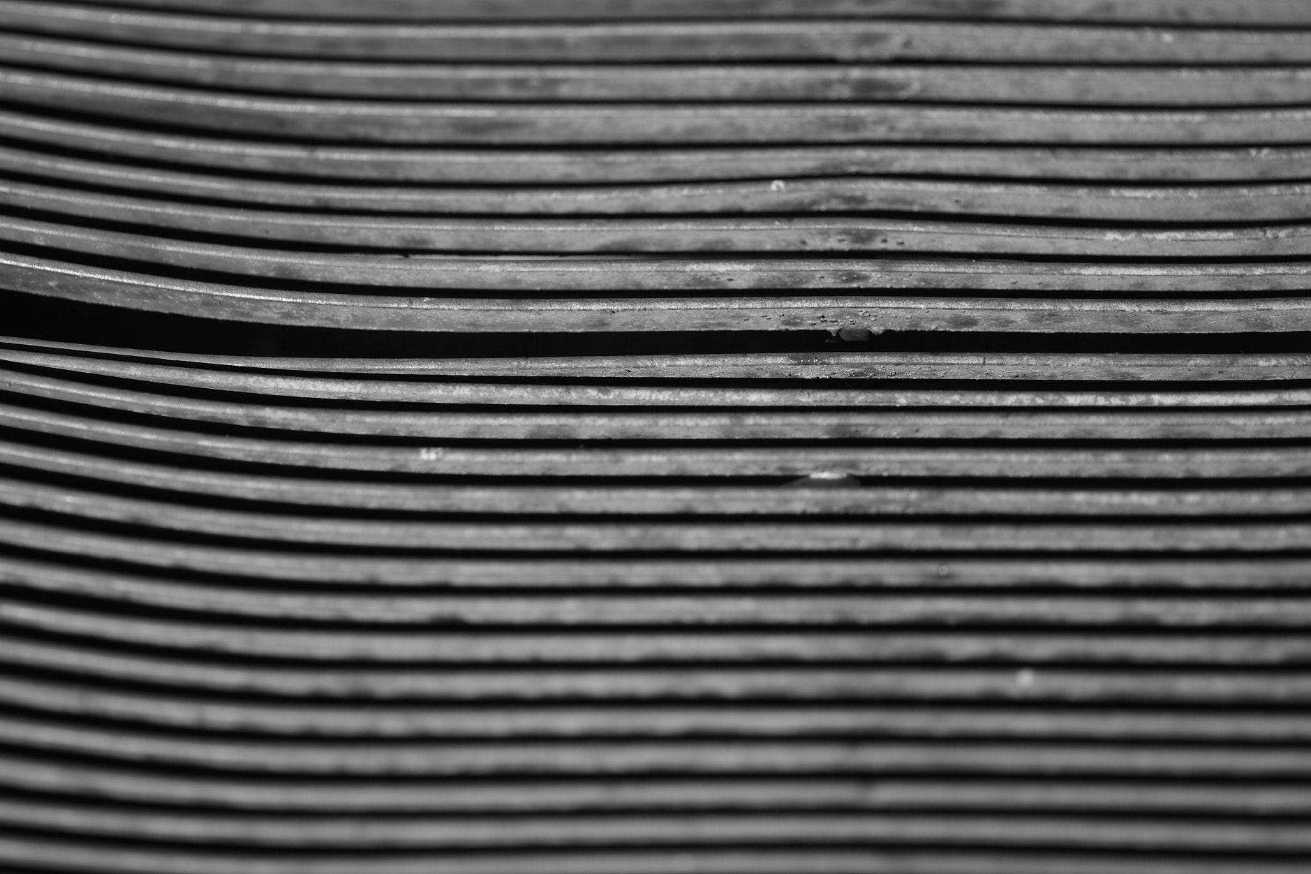 Canon EOS 40D + Canon EF 135mm F2L USM sample photo. Detalle photography