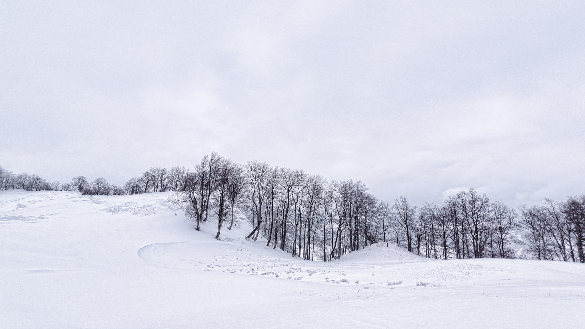 Sony SLT-A77 sample photo. Snow and wind photography