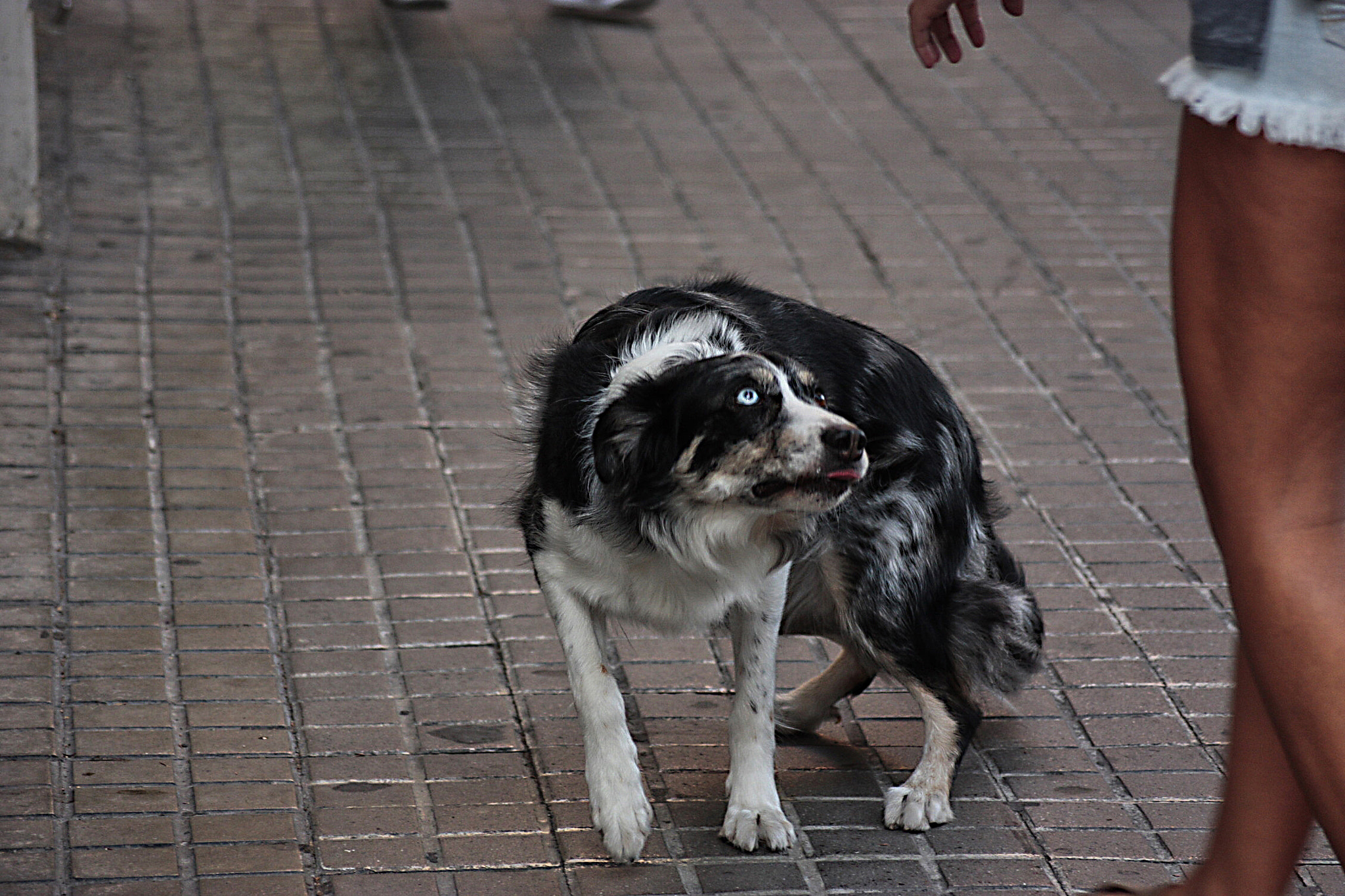 Sigma 55-200mm f/4-5.6 DC sample photo. Instinto photography