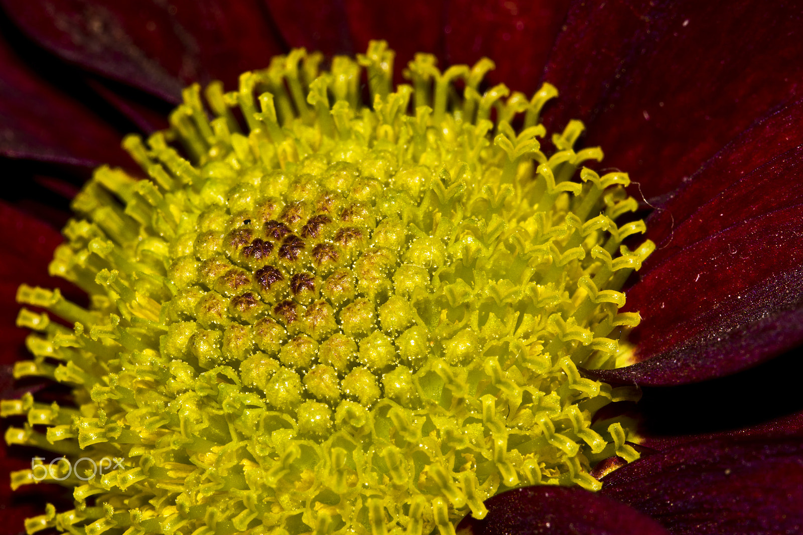 AF Zoom-Nikkor 35-80mm f/4-5.6D N sample photo. 24361070685.jpg photography
