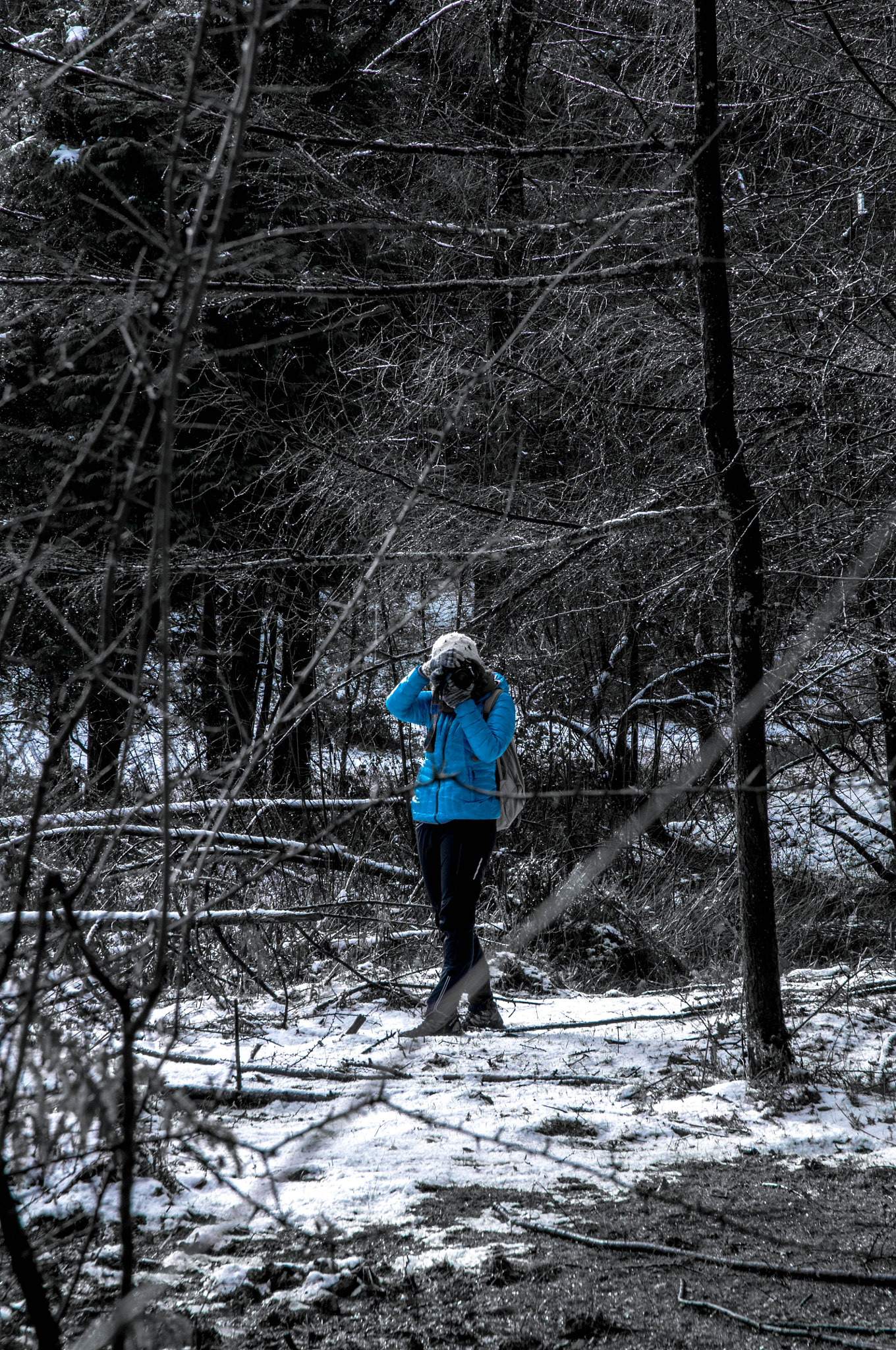 Sigma 17-70mm F2.8-4 DC Macro OS HSM | C sample photo. Maitane photography