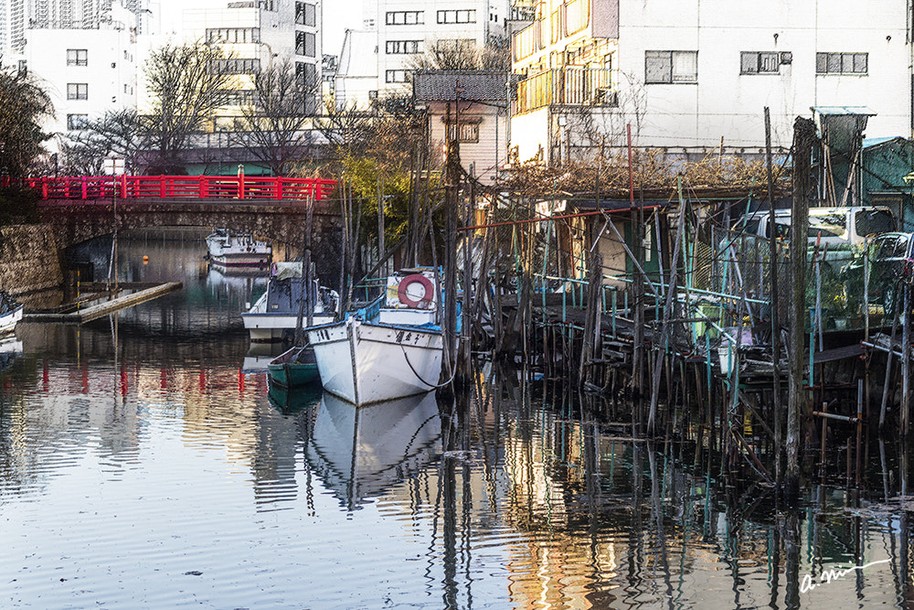 Canon EOS M3 + Canon EF 50mm F1.8 II sample photo. Sketch of tsukuda photography