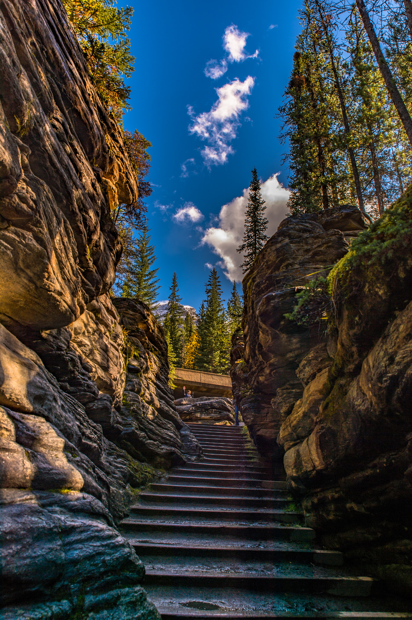 Nikon Df sample photo. Pathway photography