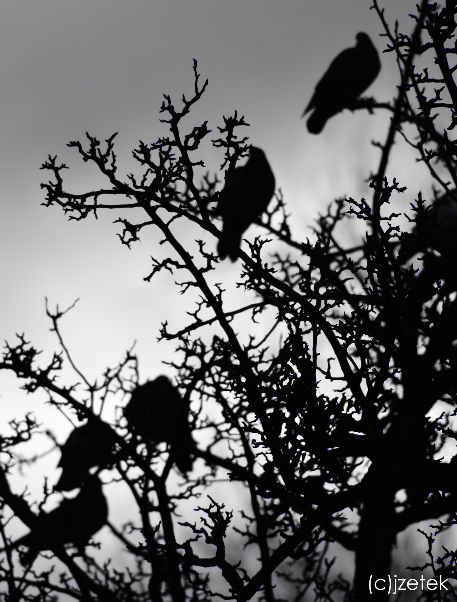 Nikon D7100 + AF Nikkor 180mm f/2.8 IF-ED sample photo. Dsc_2835.jpg photography