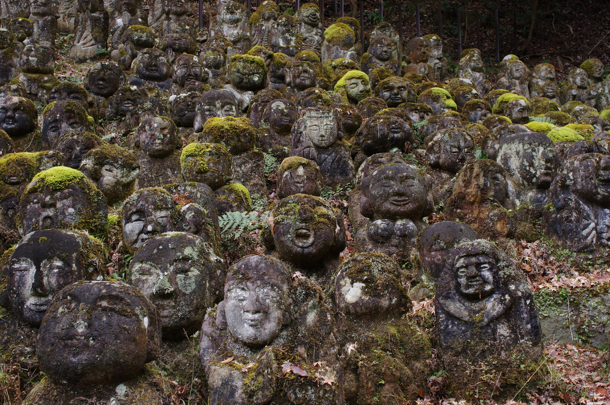 Pentax K-3 II + A Series Lens sample photo. Otagi nenbutsu-ji photography