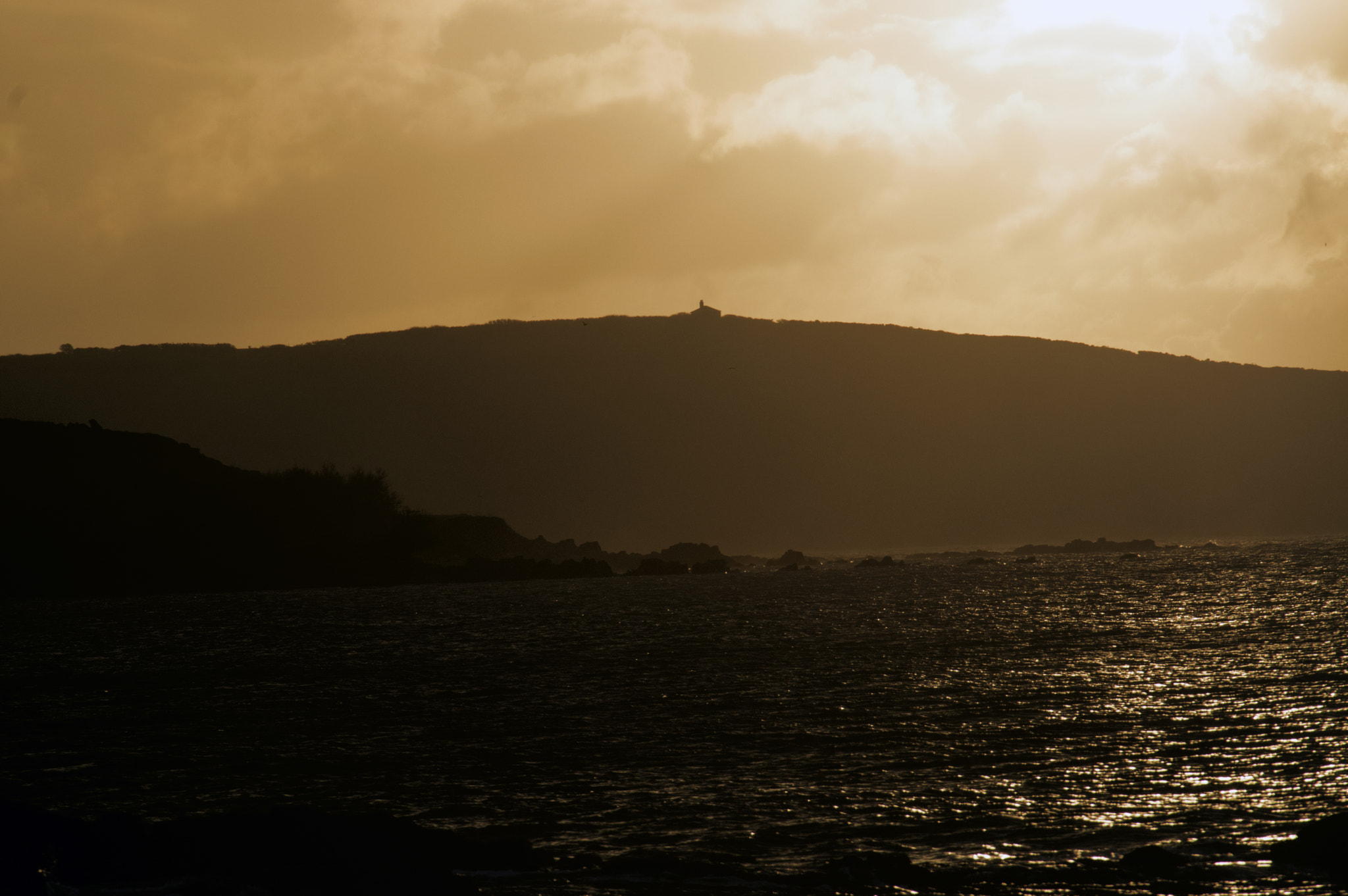 Sigma EX APO 100-300mm F4 IF sample photo. Golden sunlight photography