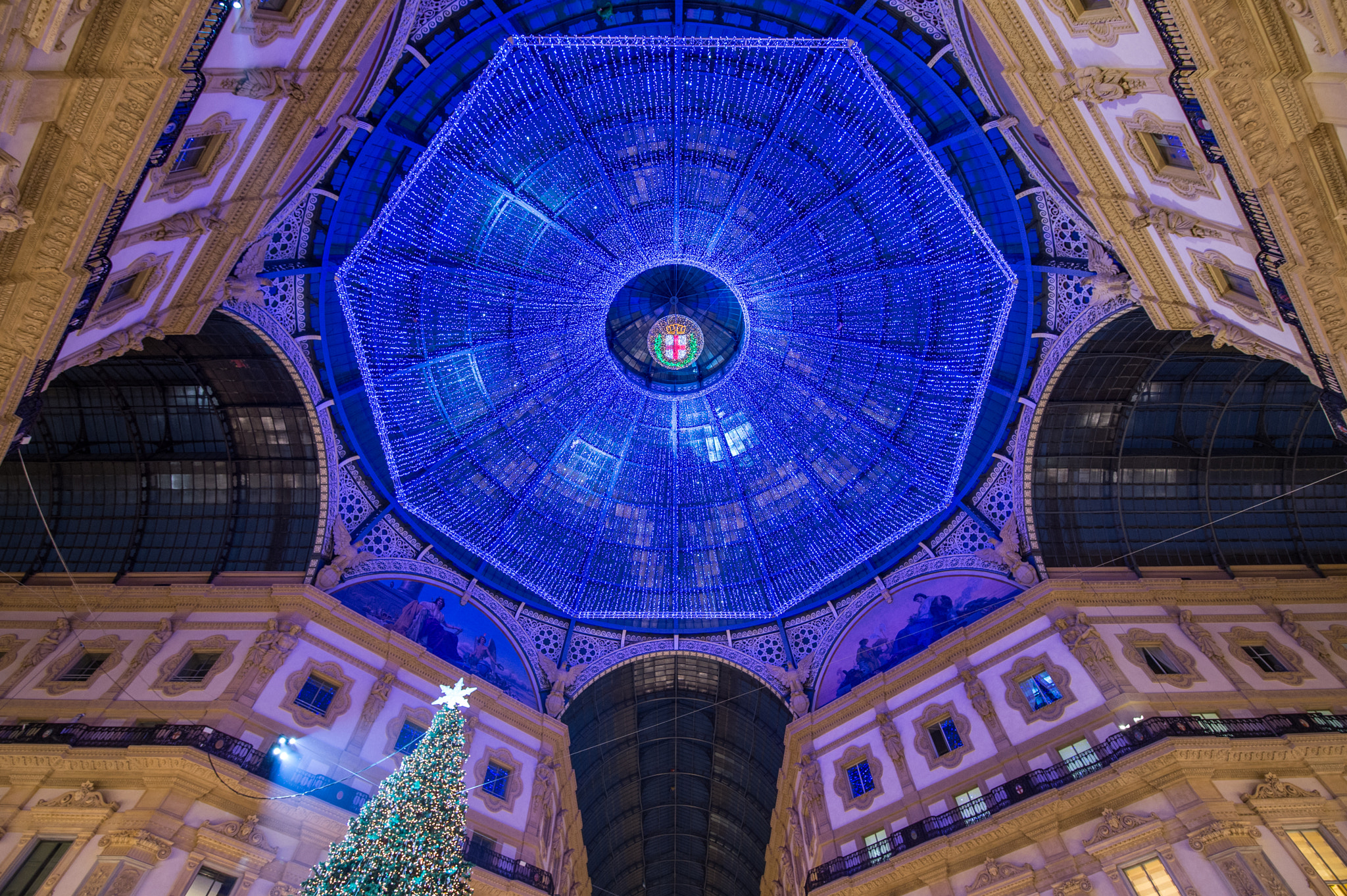 Nikon Df sample photo. Christmas lights photography