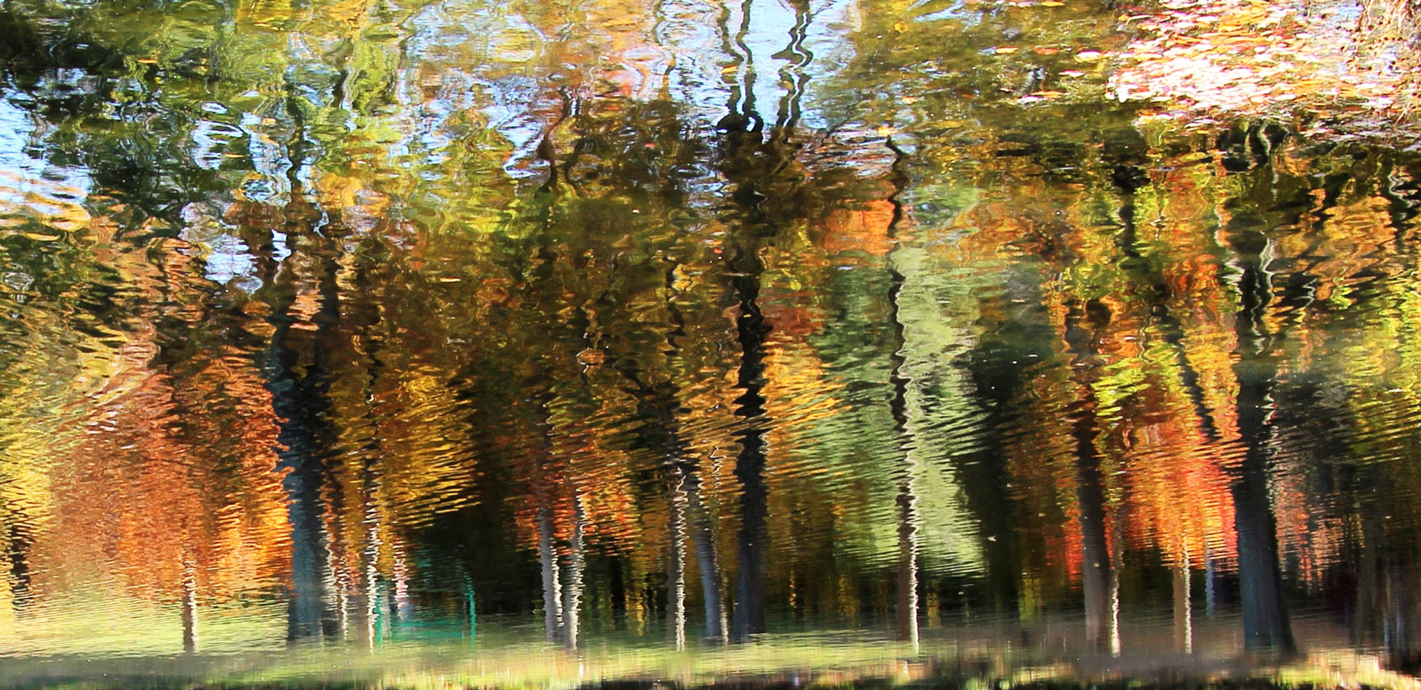 Canon EF-S 18-135mm F3.5-5.6 IS STM sample photo. Autumn reflections photography
