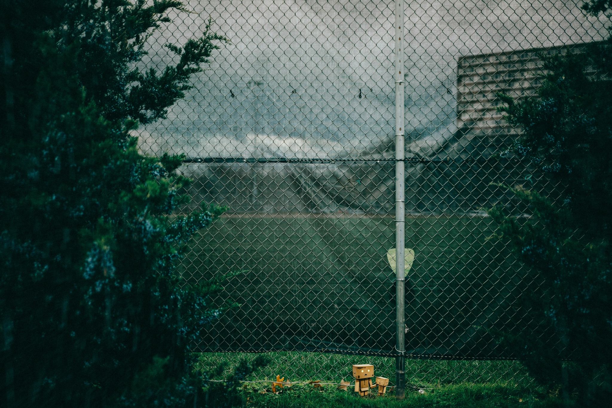 Sony a7R + E 35mm F2 sample photo. Lonely rainy lovely amazon photography