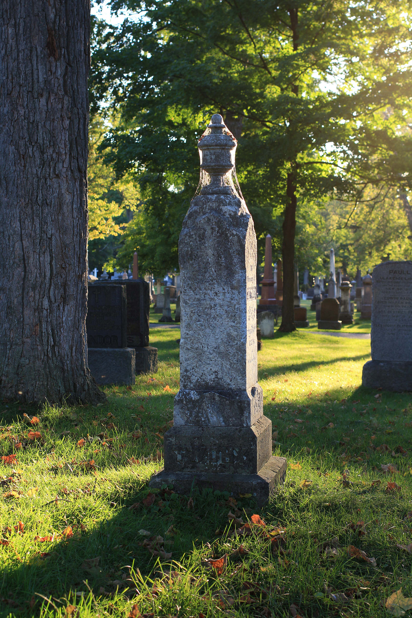 Canon EF 40mm F2.8 STM sample photo. Spider web covered finial photography