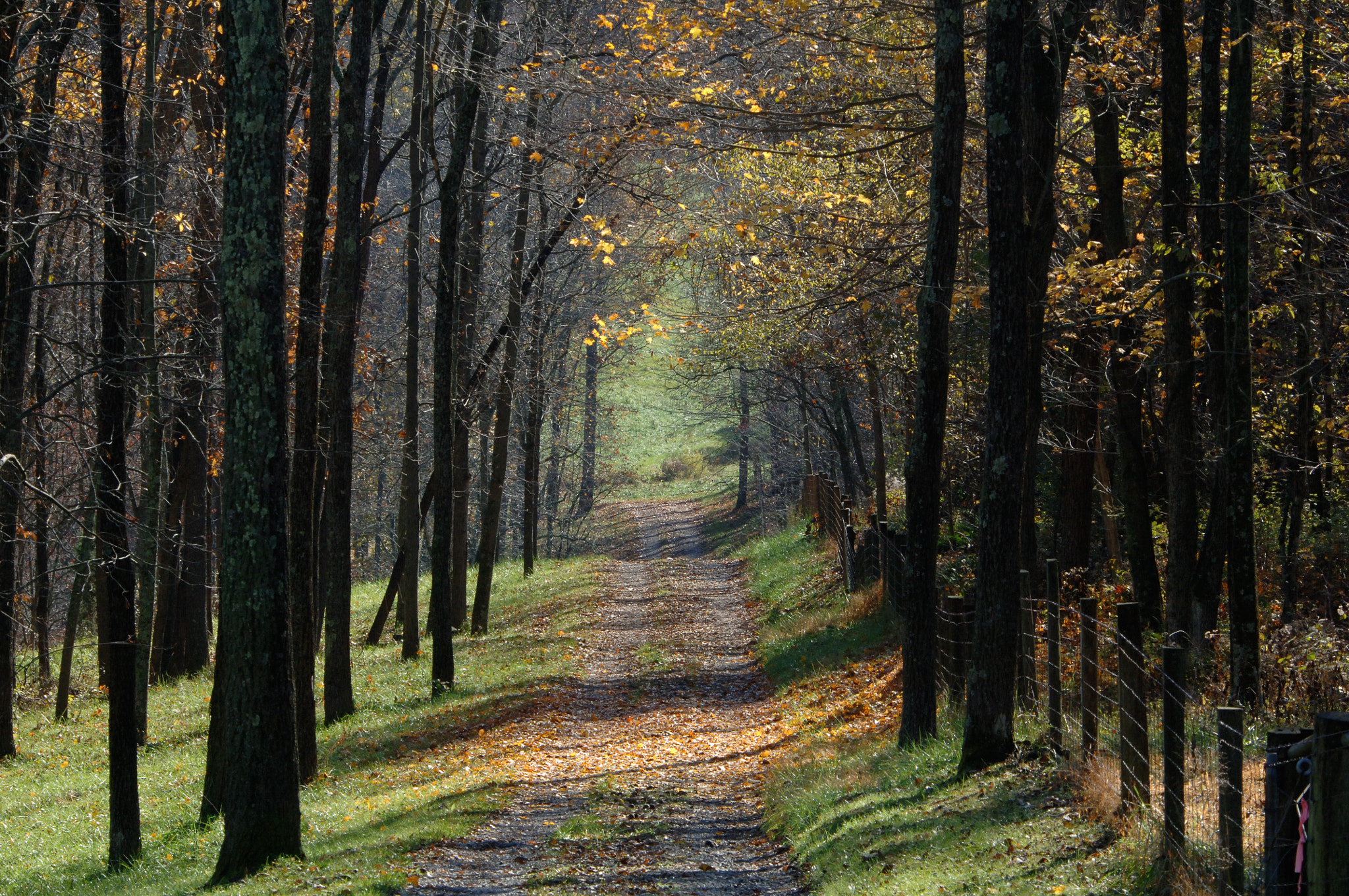 Nikon D2X sample photo. Norwichohio photography
