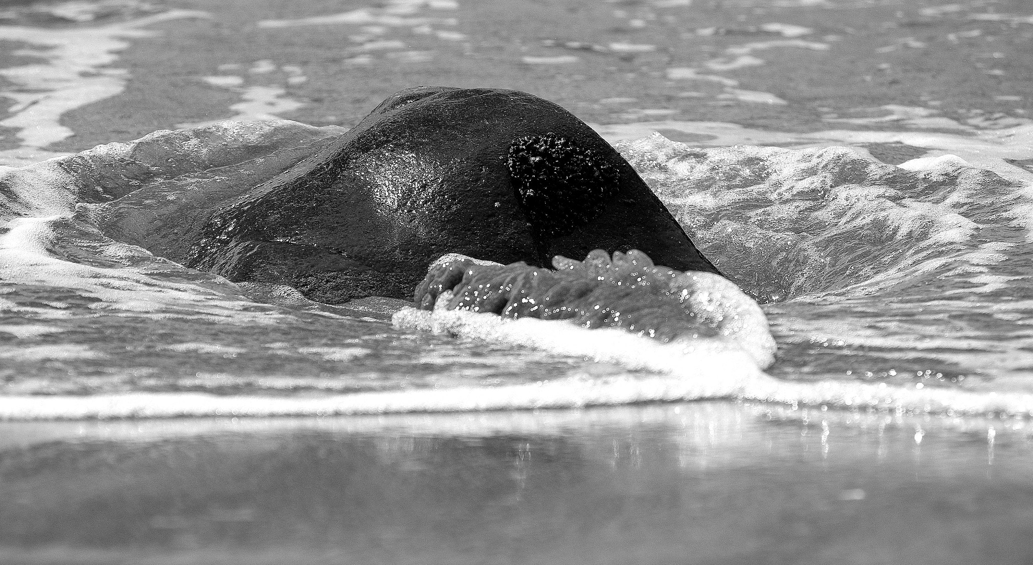 Pentax K-r + smc PENTAX-DA L 50-200mm F4-5.6 ED sample photo. Rock in the waves photography