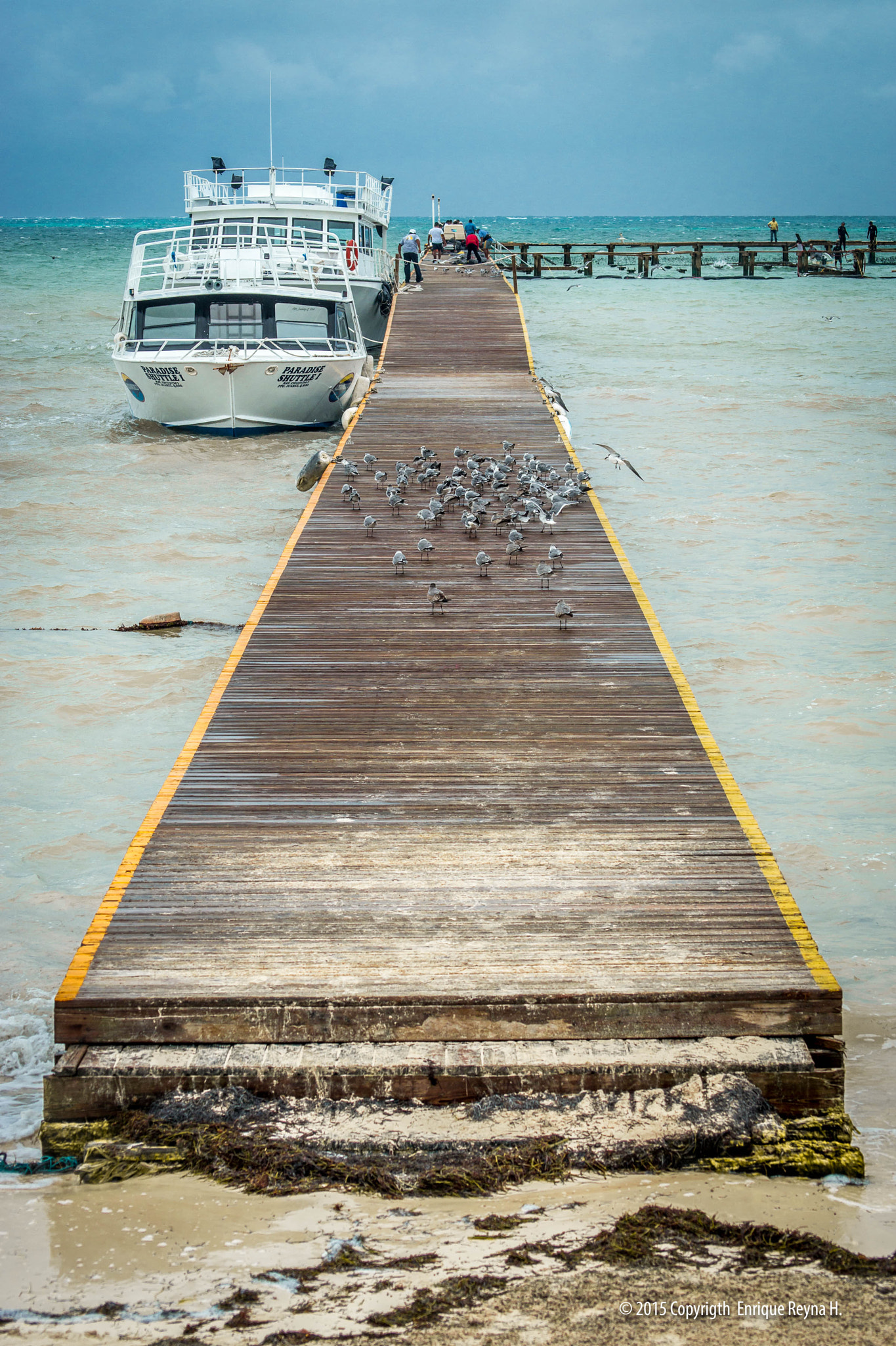 Sony 75-300mm F4.5-5.6 sample photo. Seagulls on the pier photography