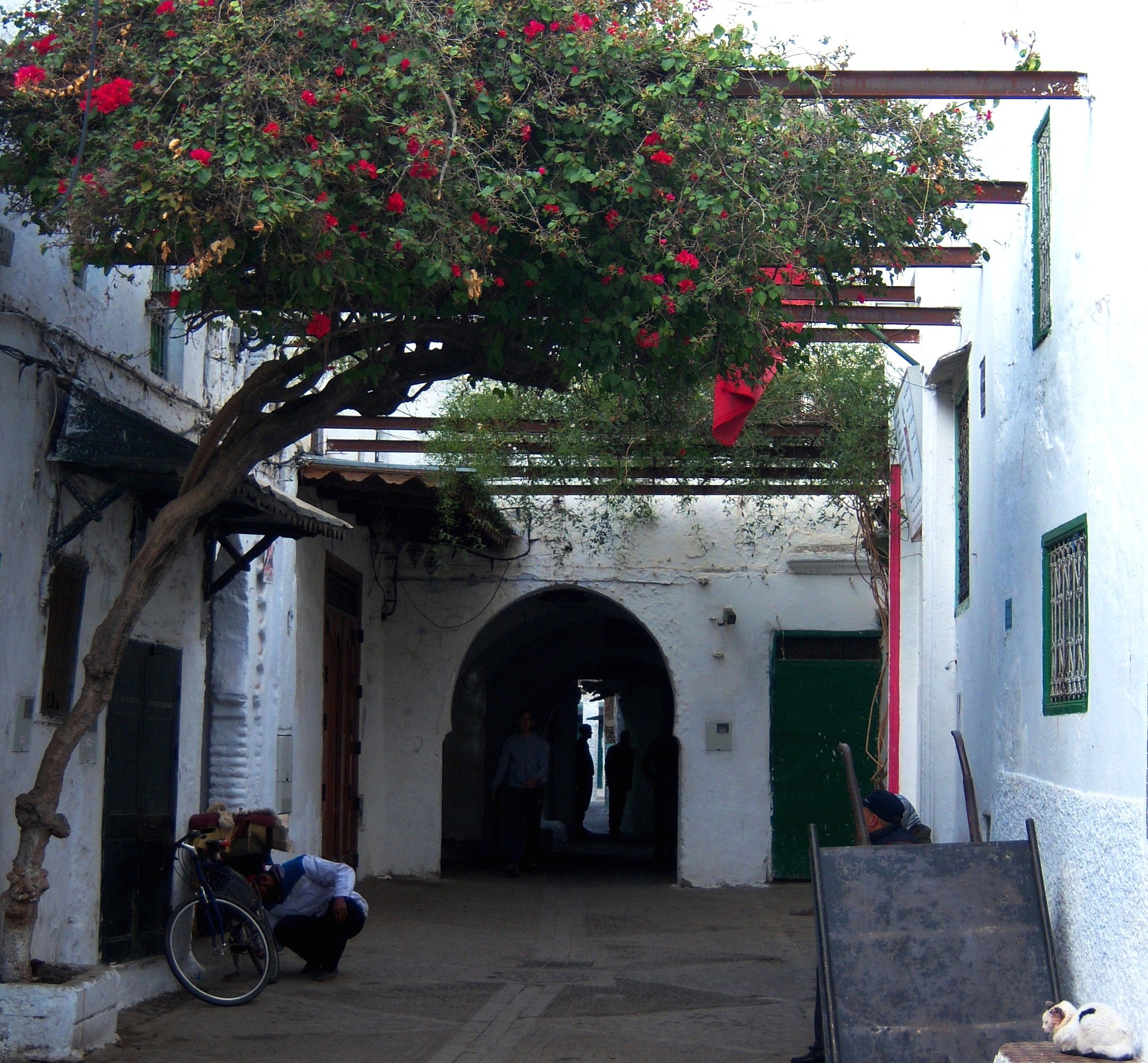 Kodak EASYSHARE V803 ZOOM DIGITAL CAMERA sample photo. Apacible rincón en la vieja medina de tetuán photography