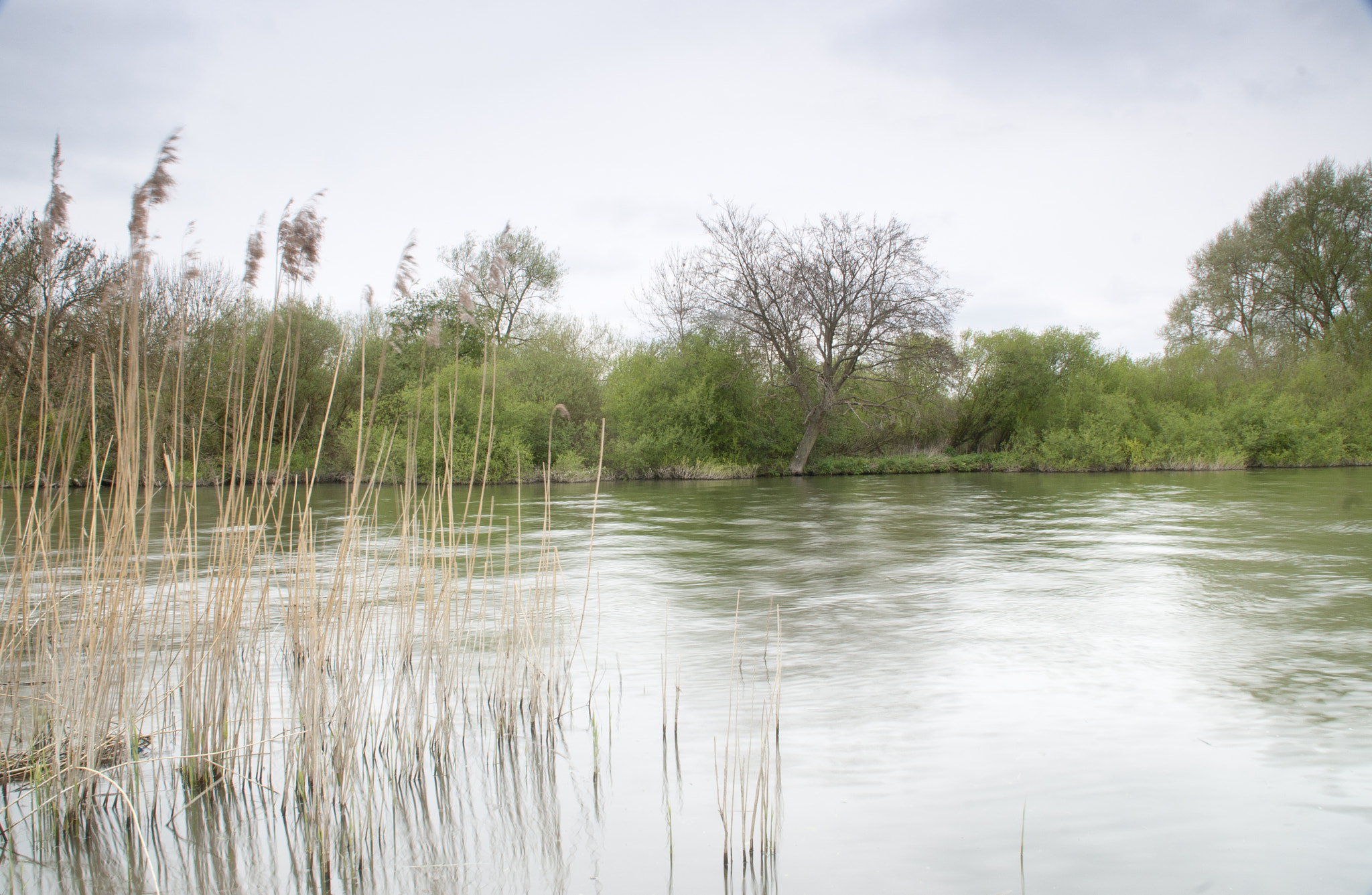 Sony Alpha DSLR-A700 sample photo. River thames photography