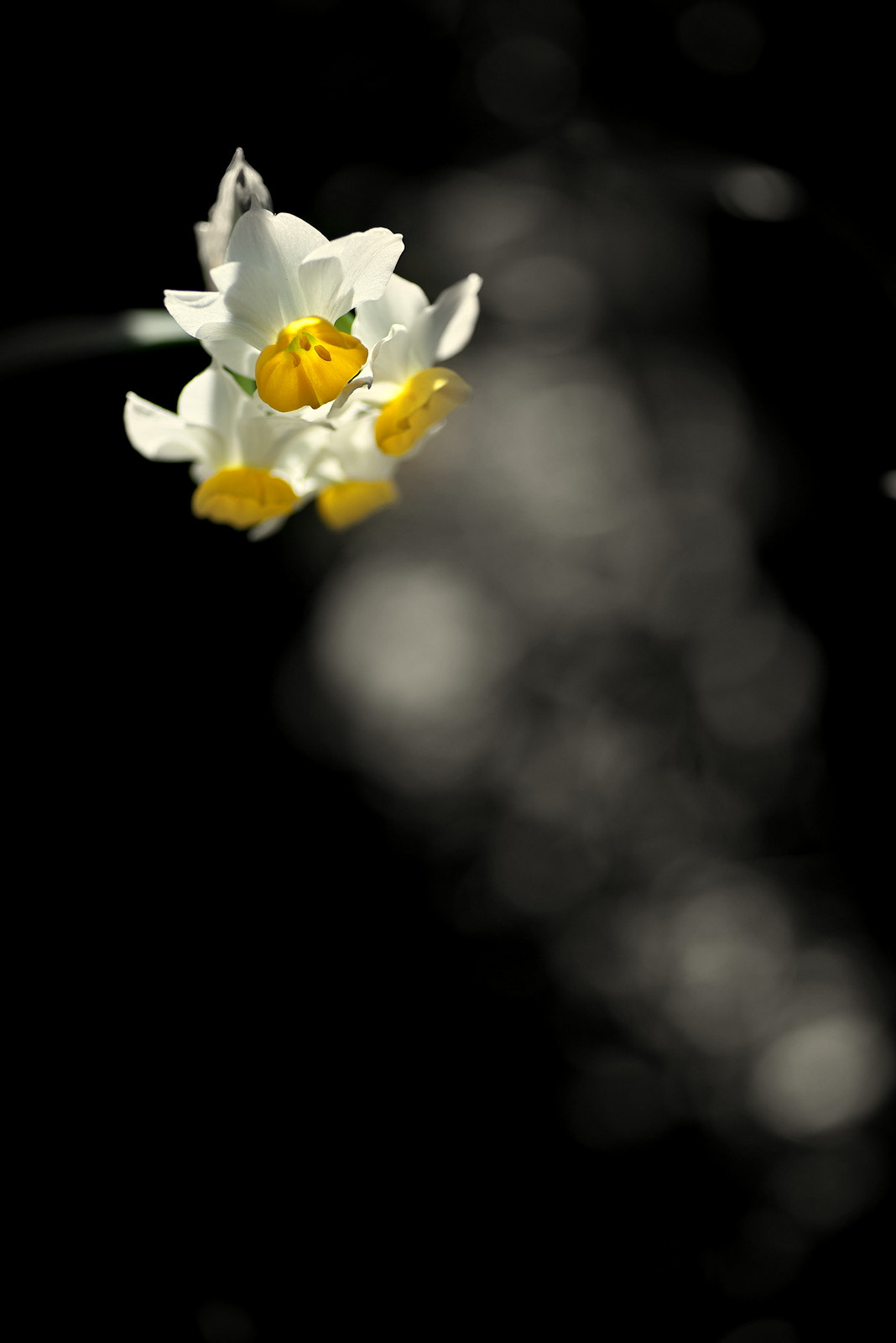 90mm F/2.8 D sample photo. Dsc_2654.jpg photography