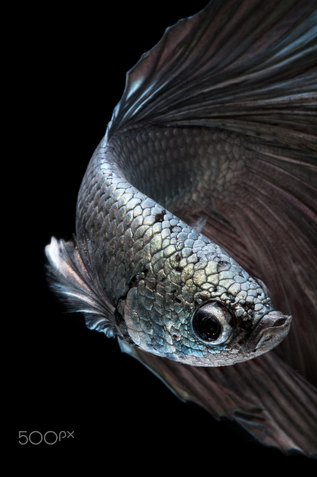 Pentax smc D-FA 100mm F2.8 Macro WR sample photo. Metal photography