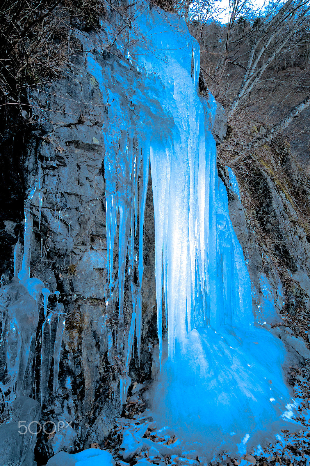 Nikon D40X sample photo. Icicle photography