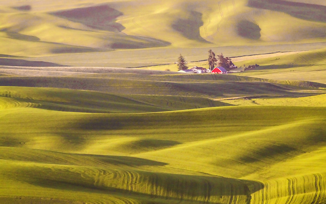 Canon EOS 50D + Canon EF 75-300mm f/4-5.6 USM sample photo. Red barn from steptoe butte photography