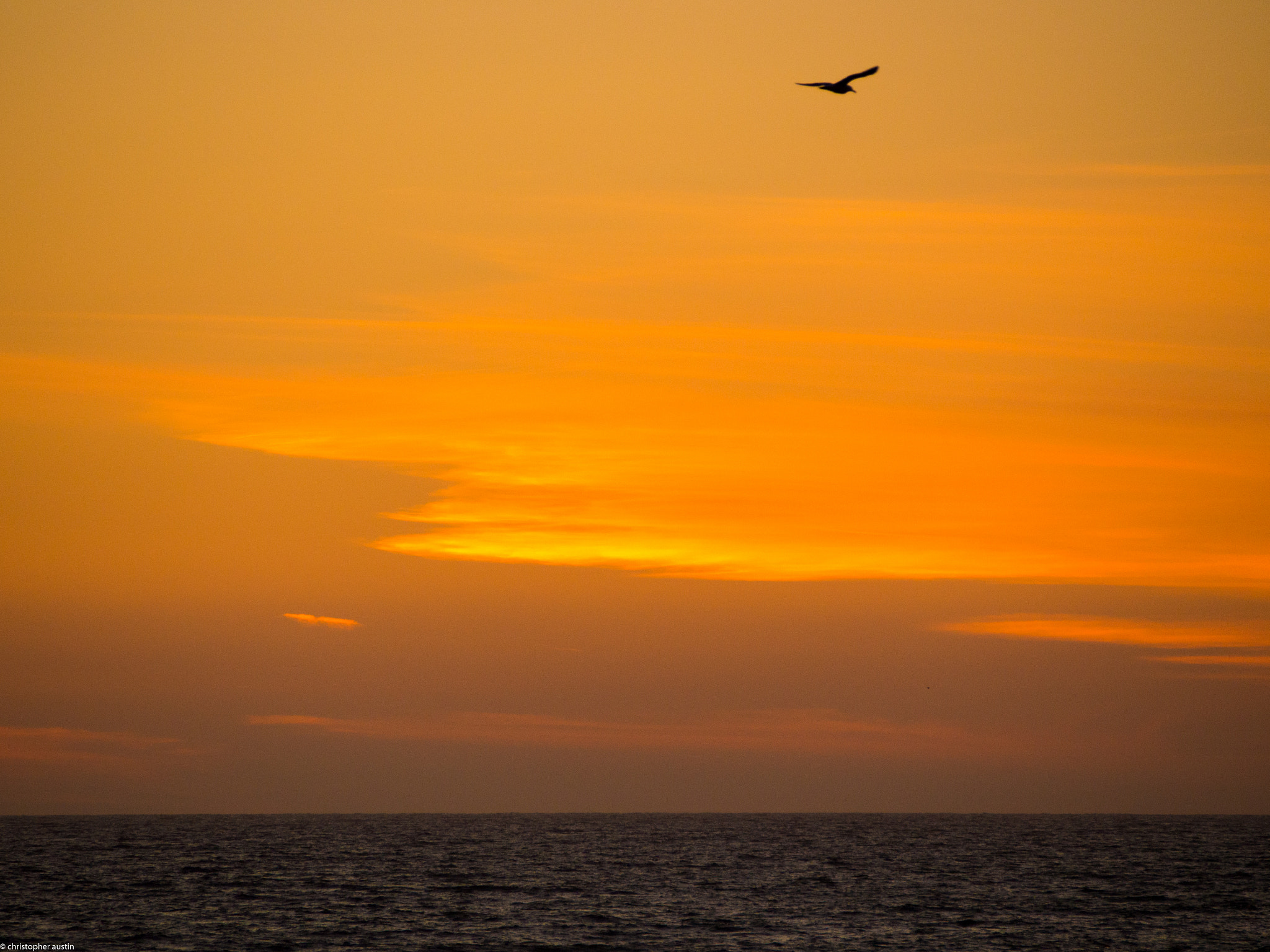 Olympus OM-D E-M5 sample photo. Deep sunset photography