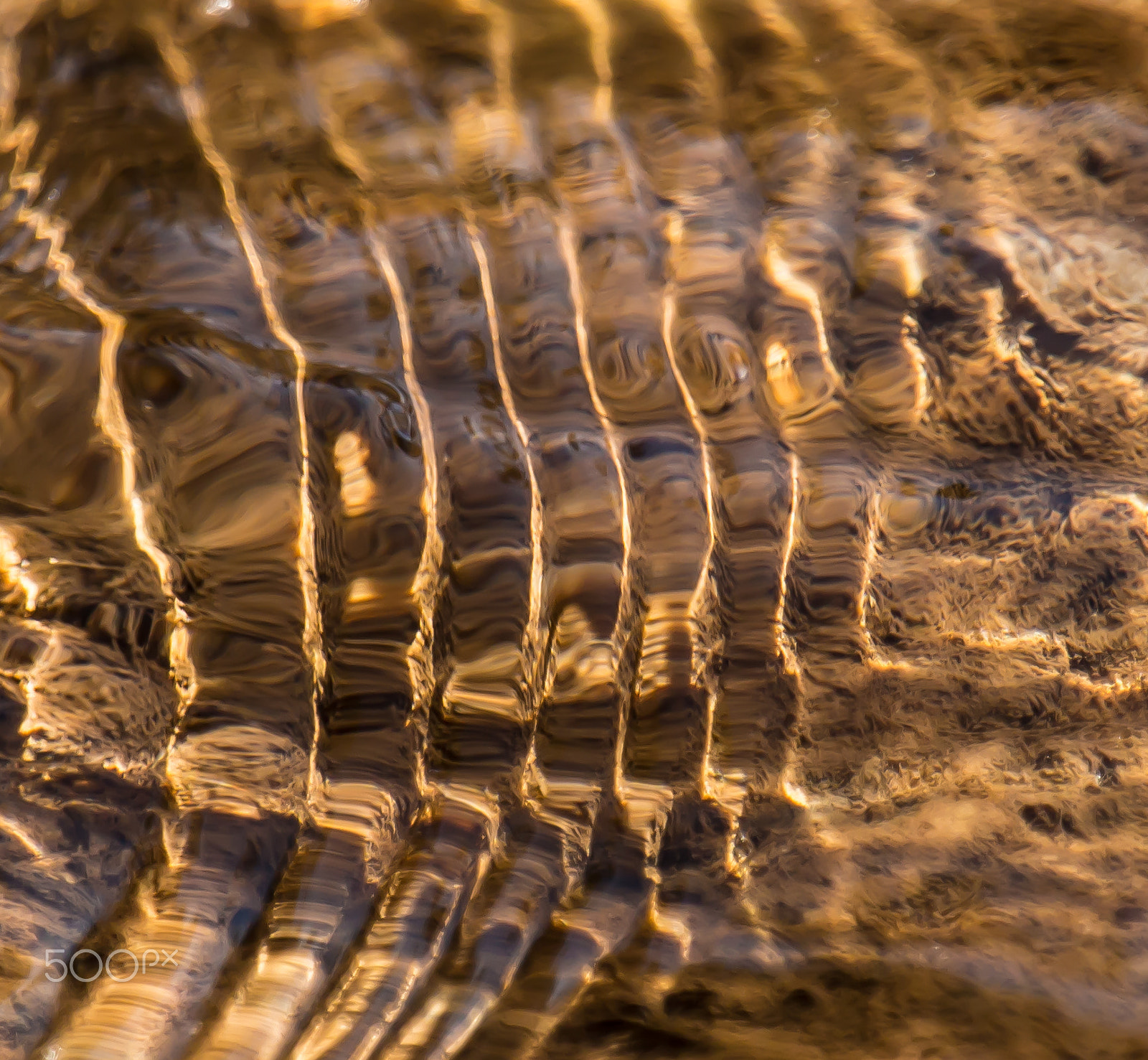 Canon EF 70-200mm F4L IS USM sample photo. Alpana ripples photography