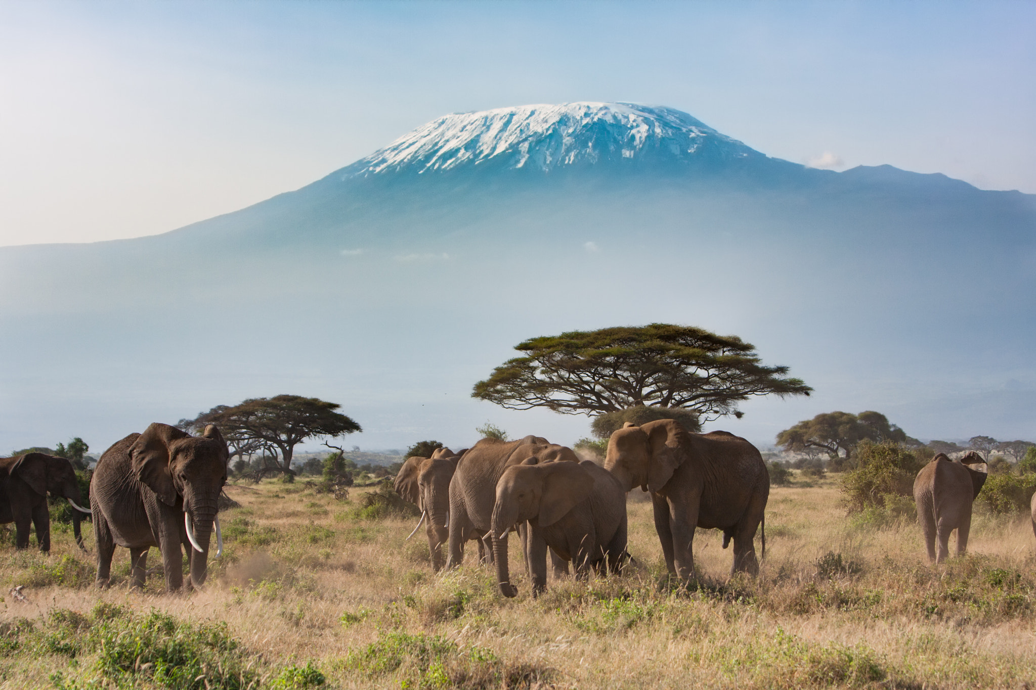 Canon EOS 40D + Canon EF 70-200mm F2.8L IS USM sample photo. Mt kilimanjaro landscape photography