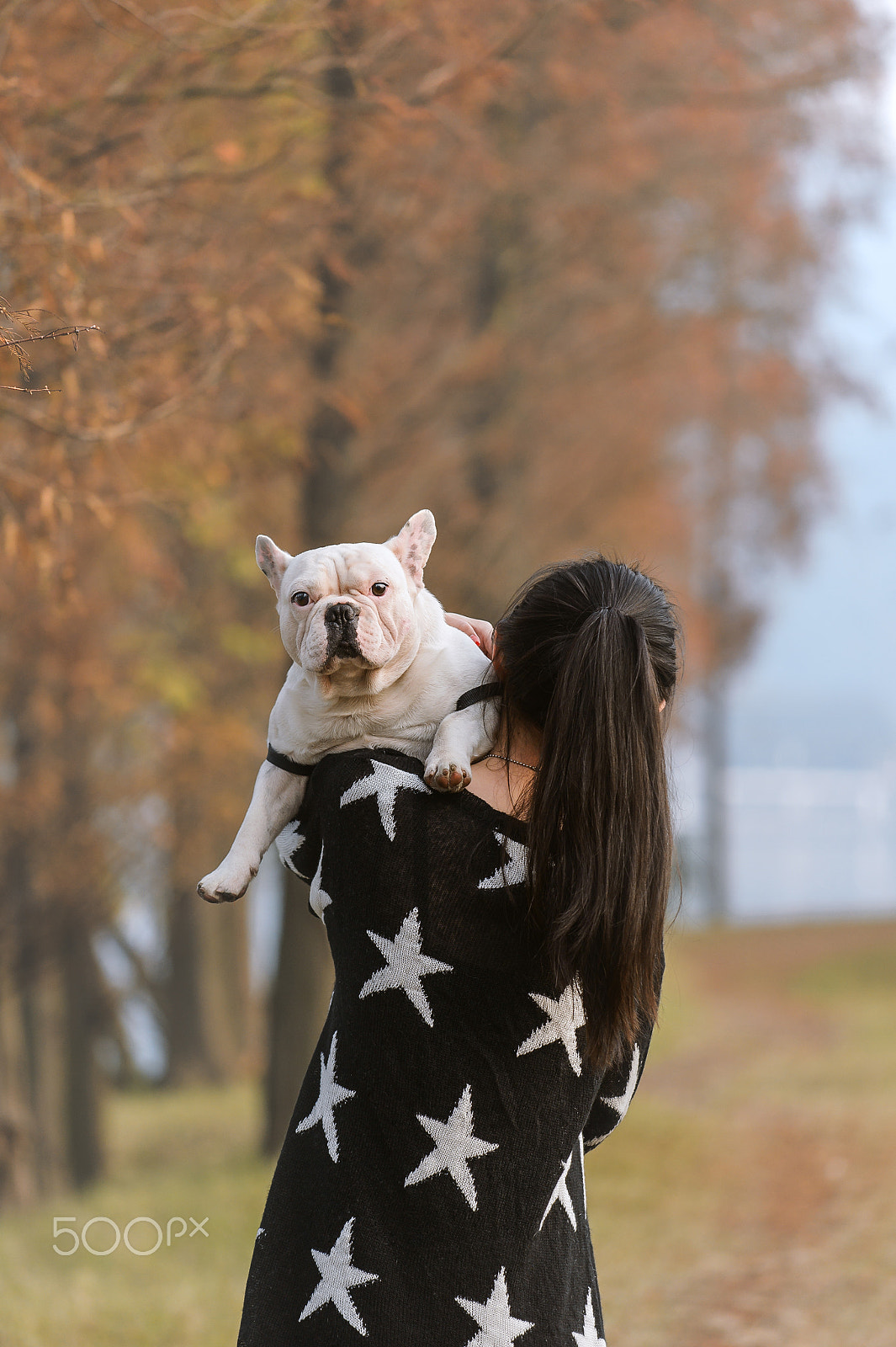 Nikon AF-S Nikkor 70-200mm F4G ED VR sample photo. Happy french bulldog photography