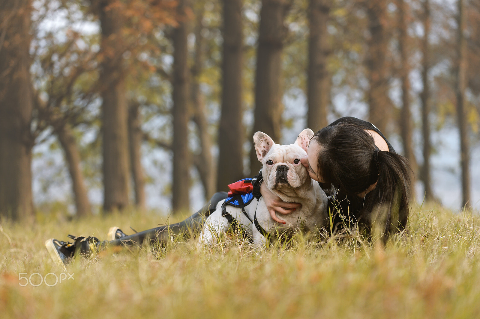Nikon AF-S Nikkor 70-200mm F4G ED VR sample photo. Happy french bulldog photography