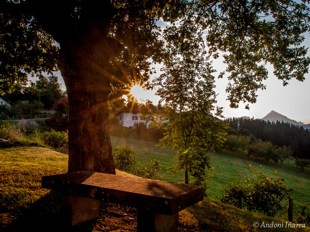 Olympus E-30 + OLYMPUS 14-54mm Lens sample photo. Bedoñatik... photography