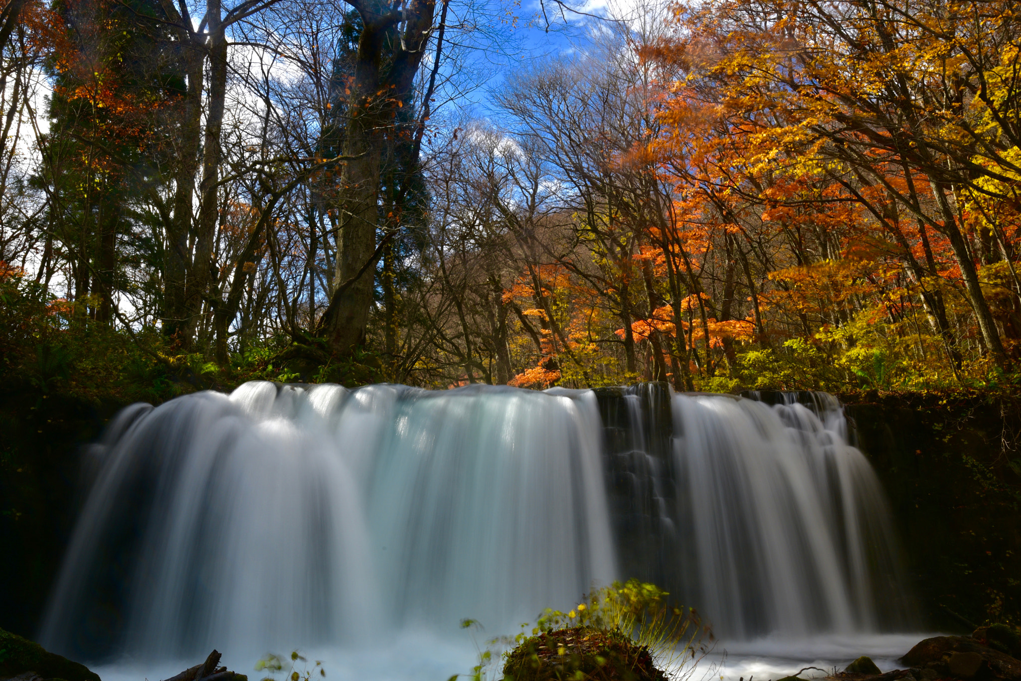 DSC_4207.jpg