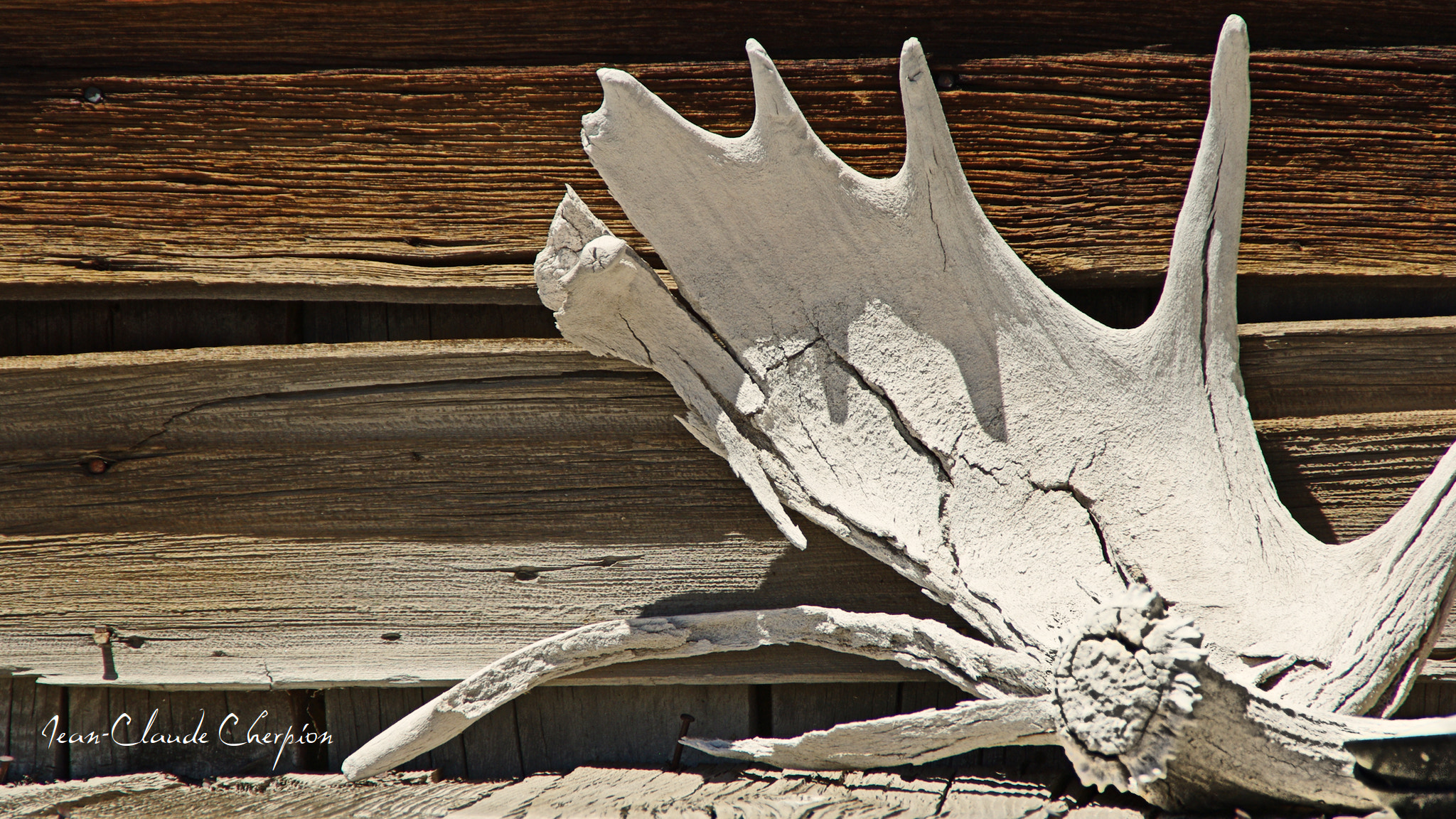 Pentax K200D sample photo. Bodie, california, ghost town photography