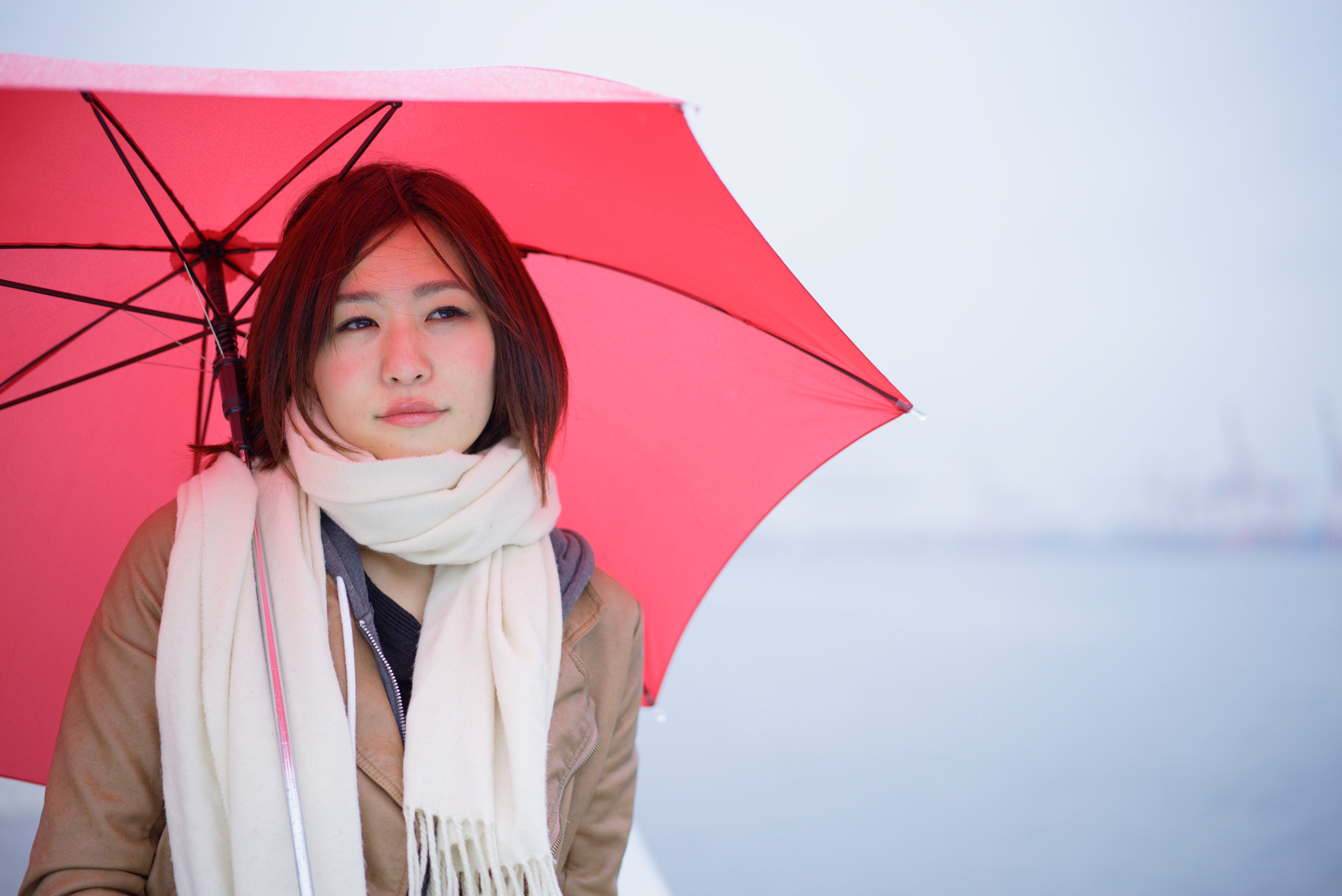 Sony a7S + Sony Sonnar T* FE 55mm F1.8 ZA sample photo. Kanae photography