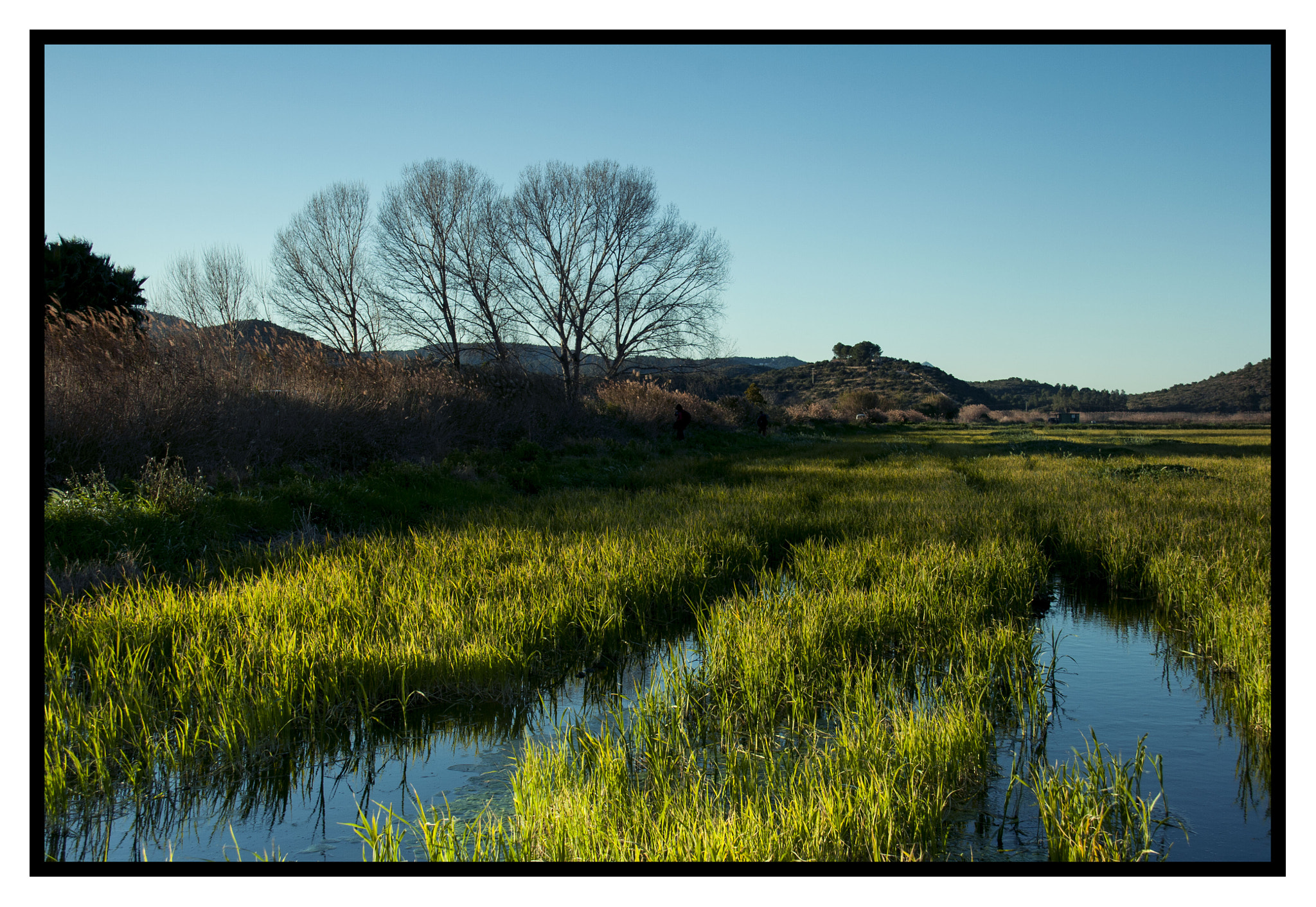 Canon EF-S 18-200mm F3.5-5.6 IS sample photo. Margal de pego photography