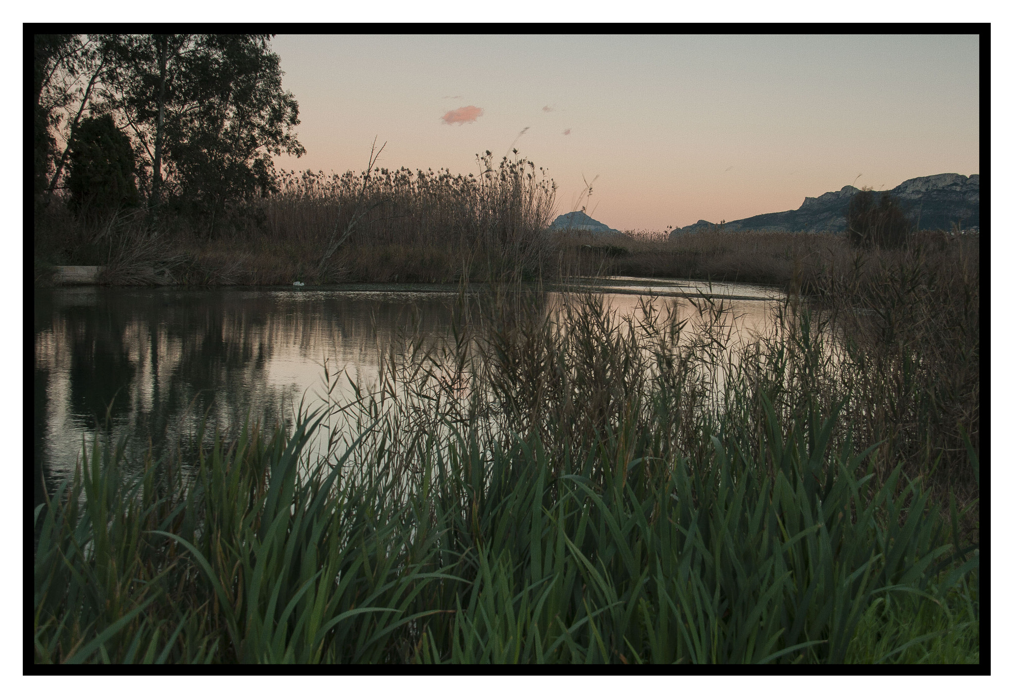 Canon EF-S 18-200mm F3.5-5.6 IS sample photo. Margal photography