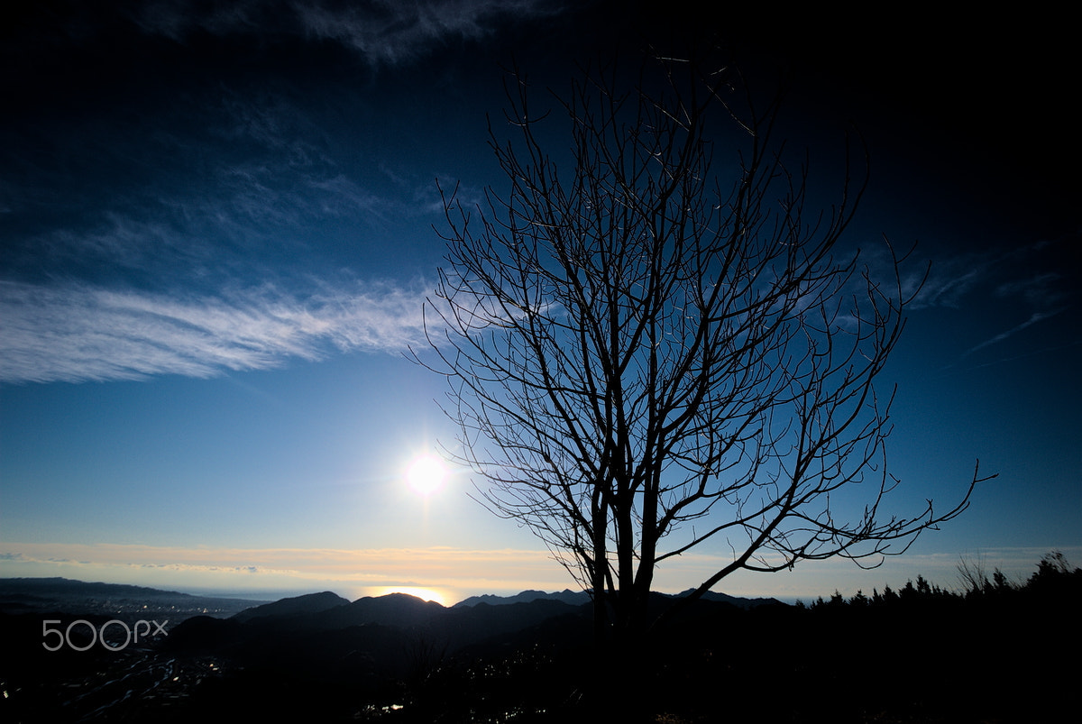 Nikon D40X sample photo. Morning #3 photography