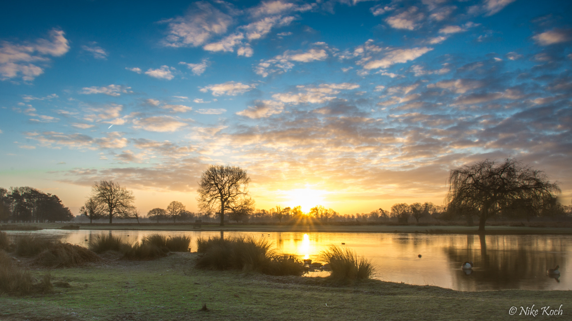 Sony SLT-A77 sample photo. Golden sunrise photography