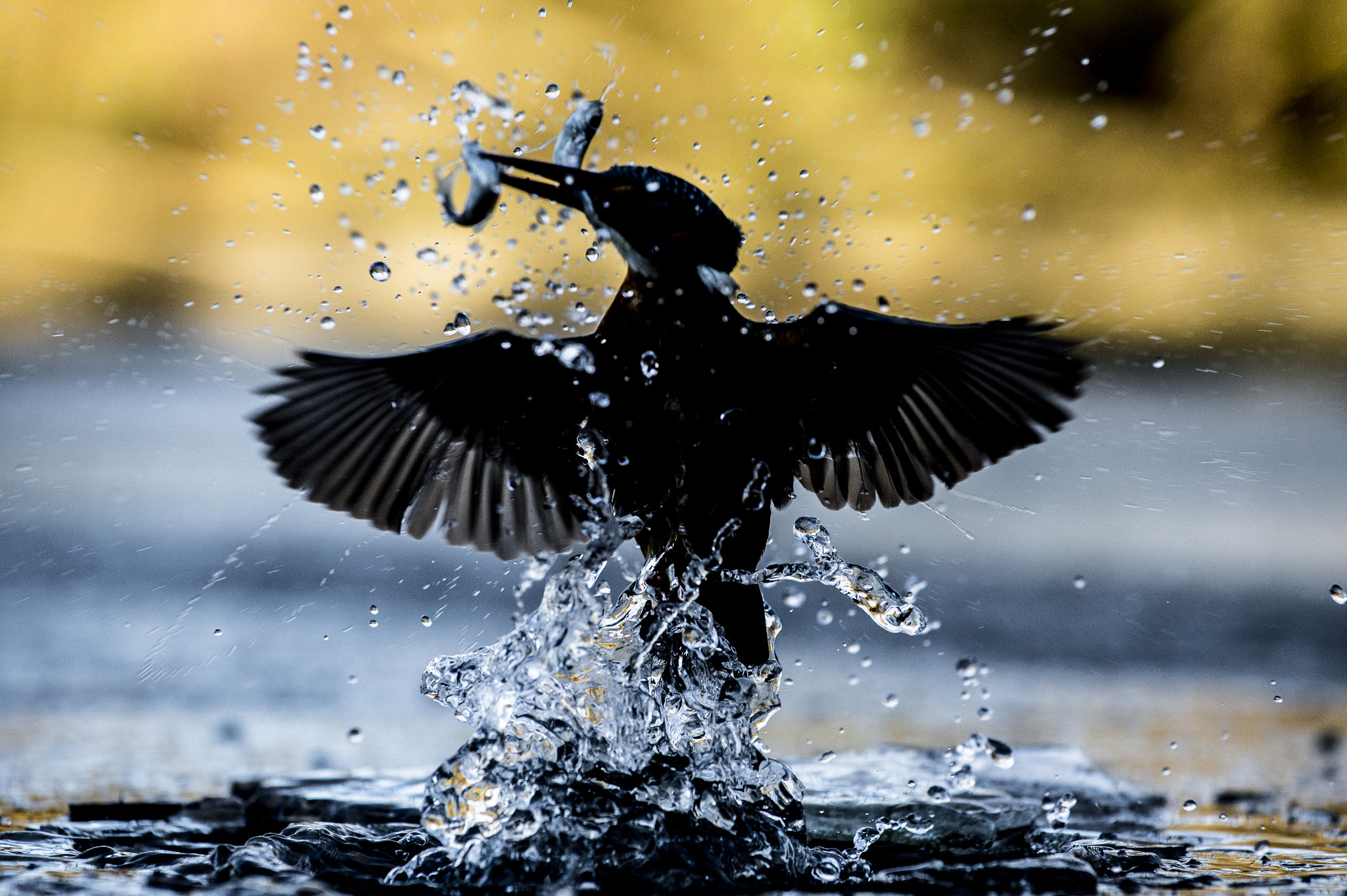 Nikon AF-S Nikkor 70-200mm F4G ED VR sample photo. Fishing in the ice photography