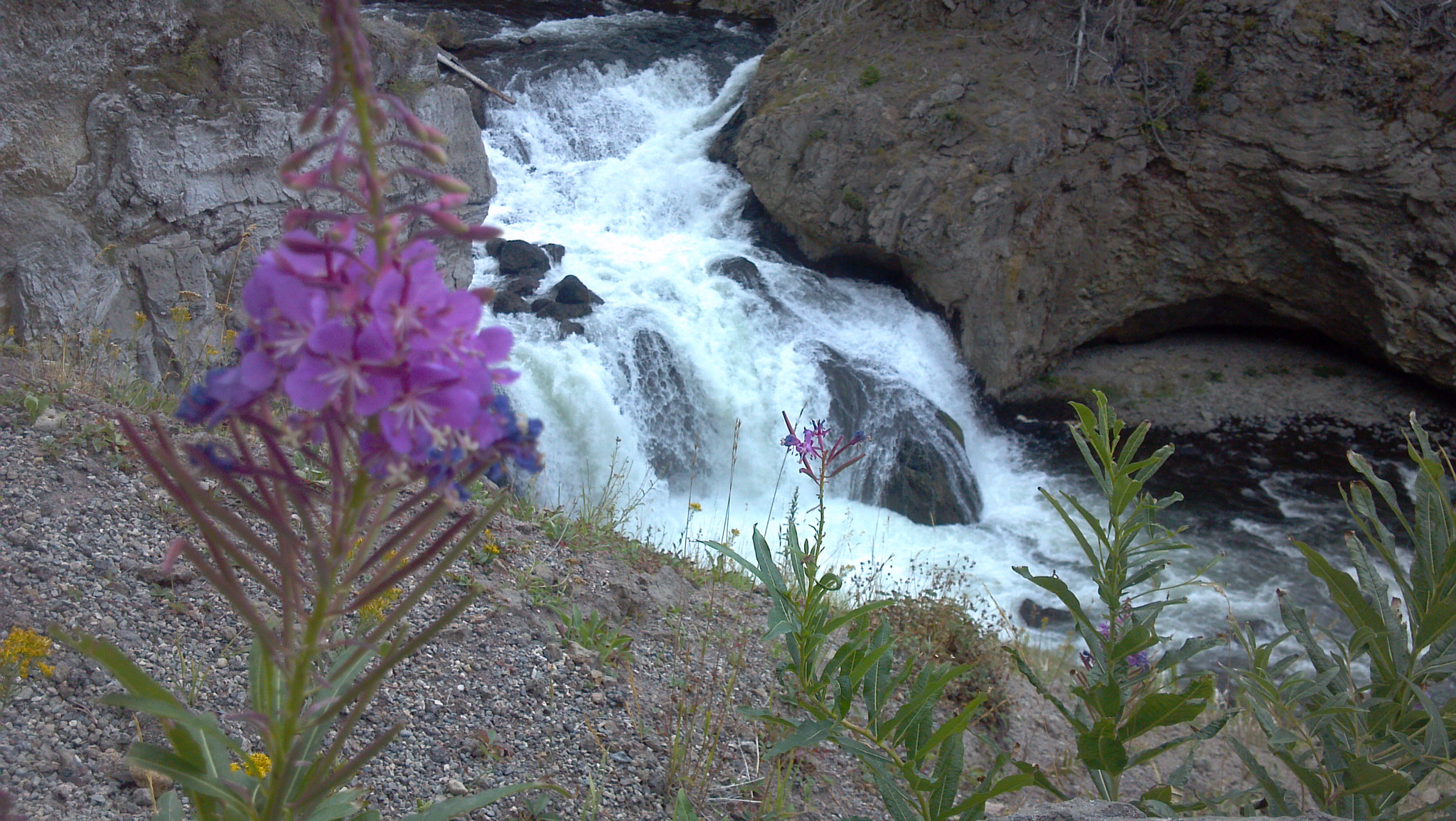 Motorola DROID X2 sample photo. Water colors  photography