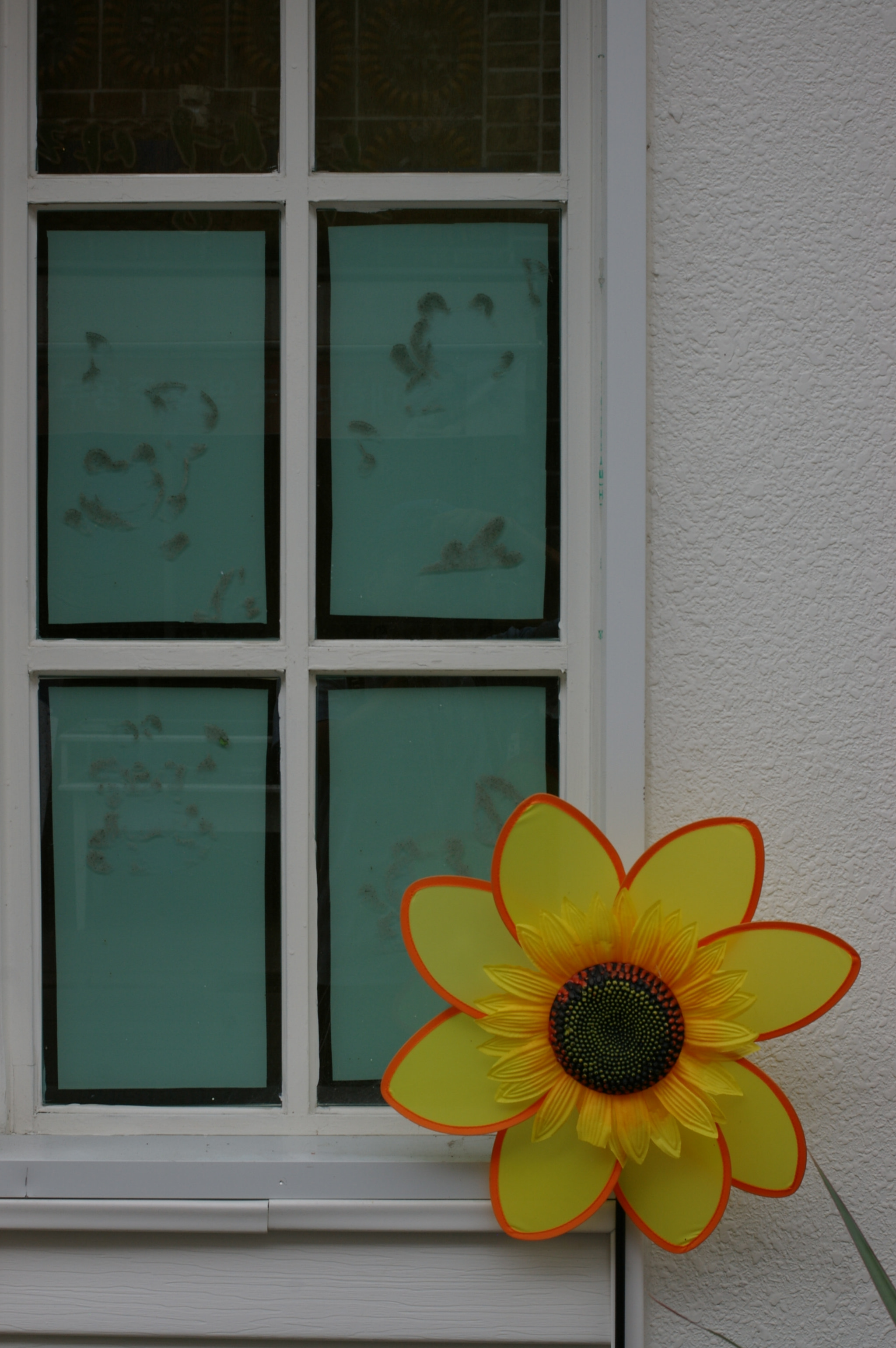 Pentax *ist DS sample photo. Window of mind photography