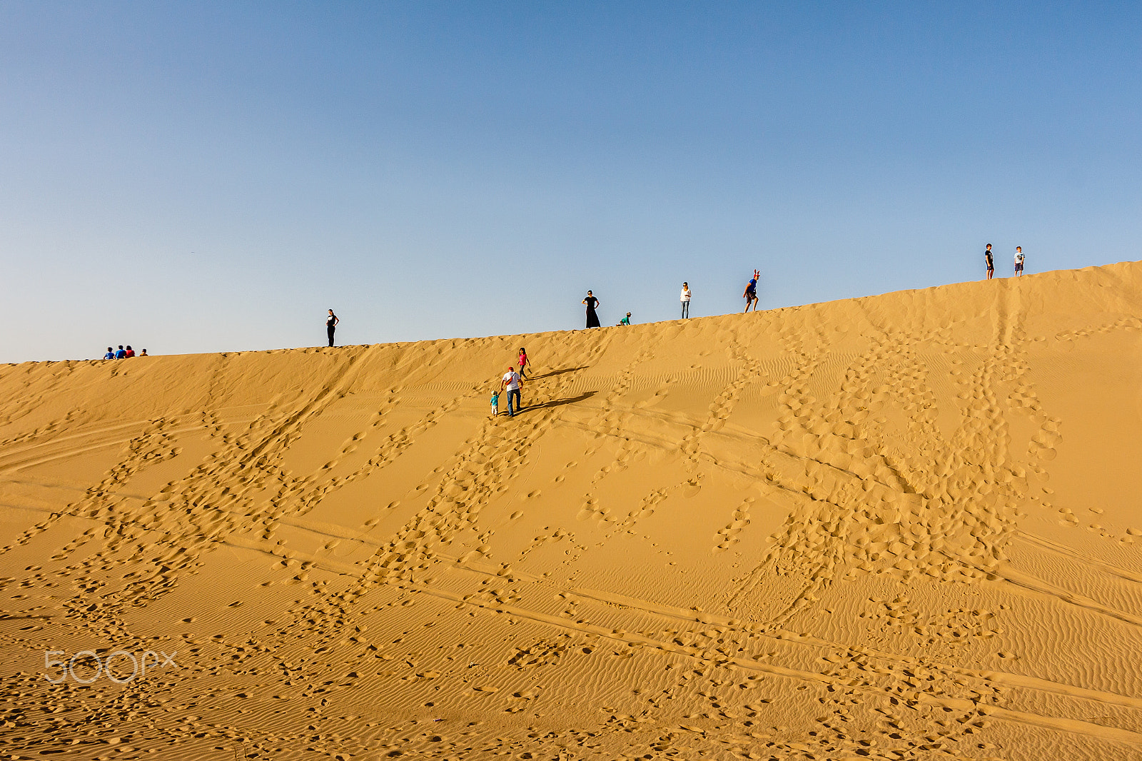 Canon EOS 650D (EOS Rebel T4i / EOS Kiss X6i) sample photo. Climbing the golden dune photography