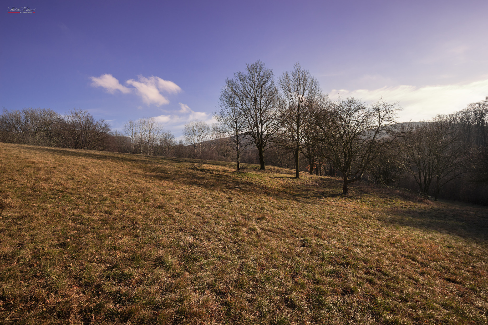 Sony a7 II + Canon EF 16-35mm F4L IS USM sample photo. Vienna! photography